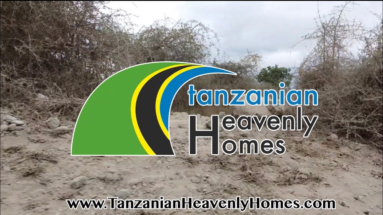 Tanzanian Heavenly Homes Organisation campaign photo, 2 of 4