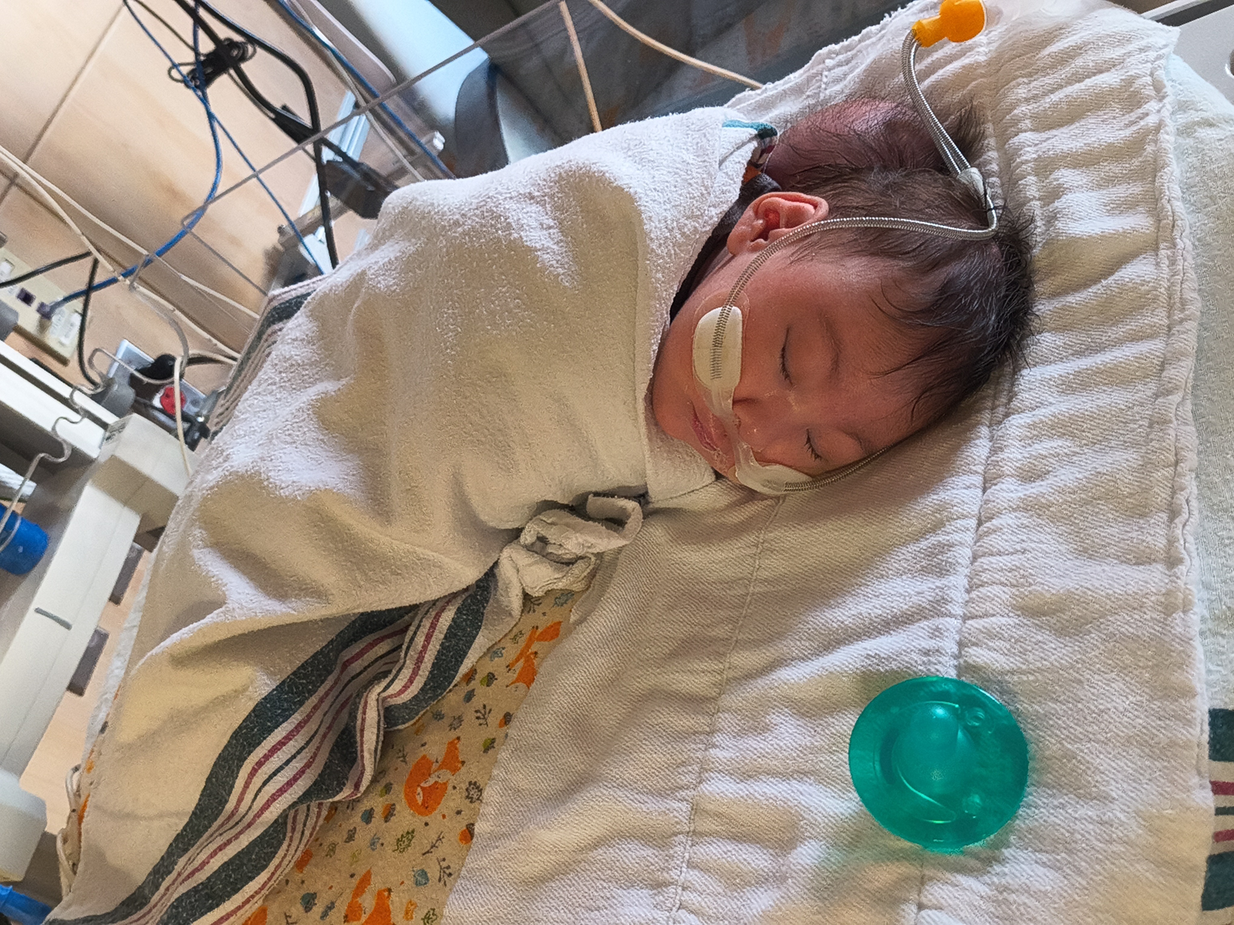 Help Bring Forrest Cleveland Hays Home campaign photo, 2 of 6