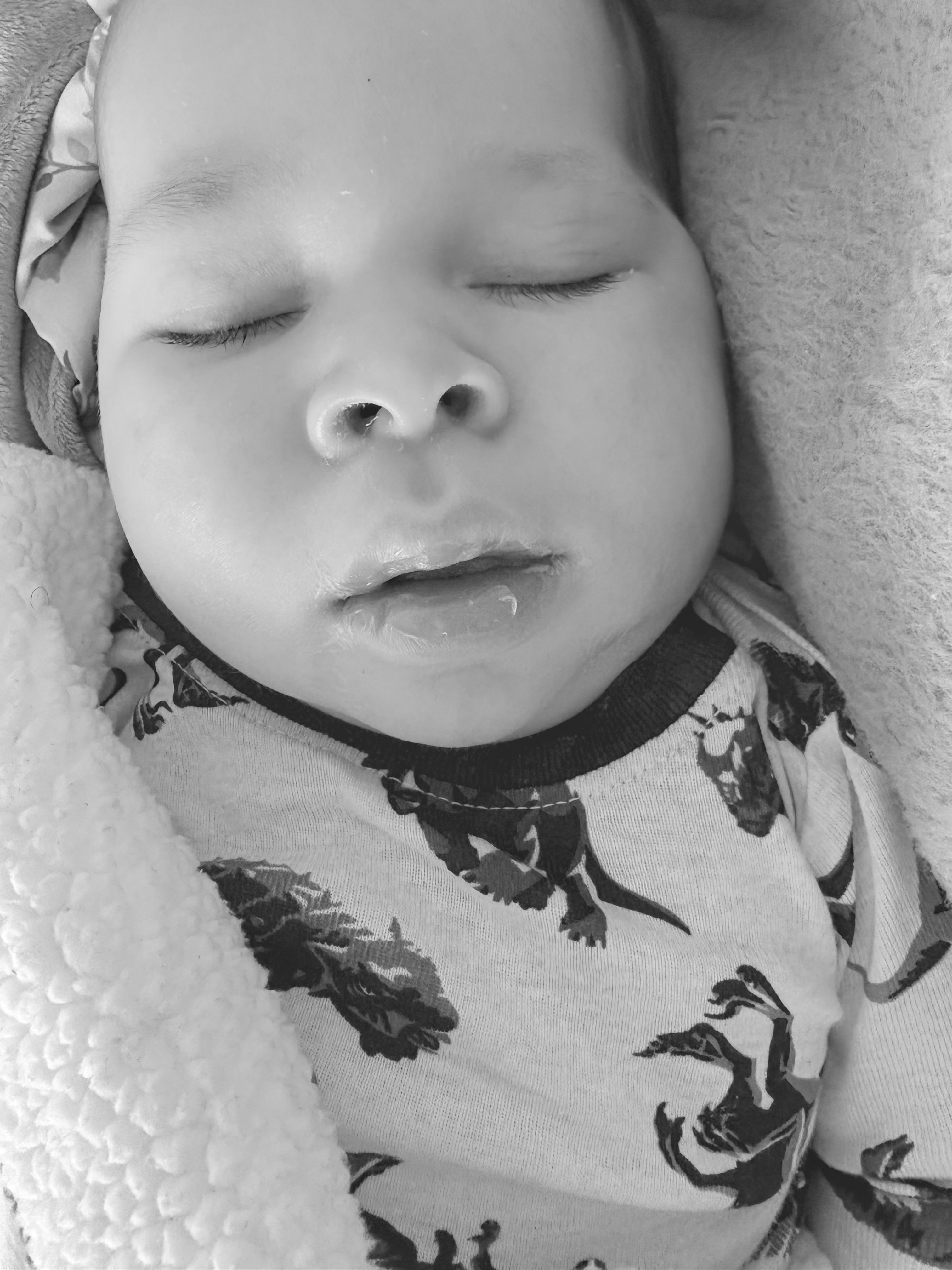 Xander Isaiah Evans campaign photo, 7 of 8