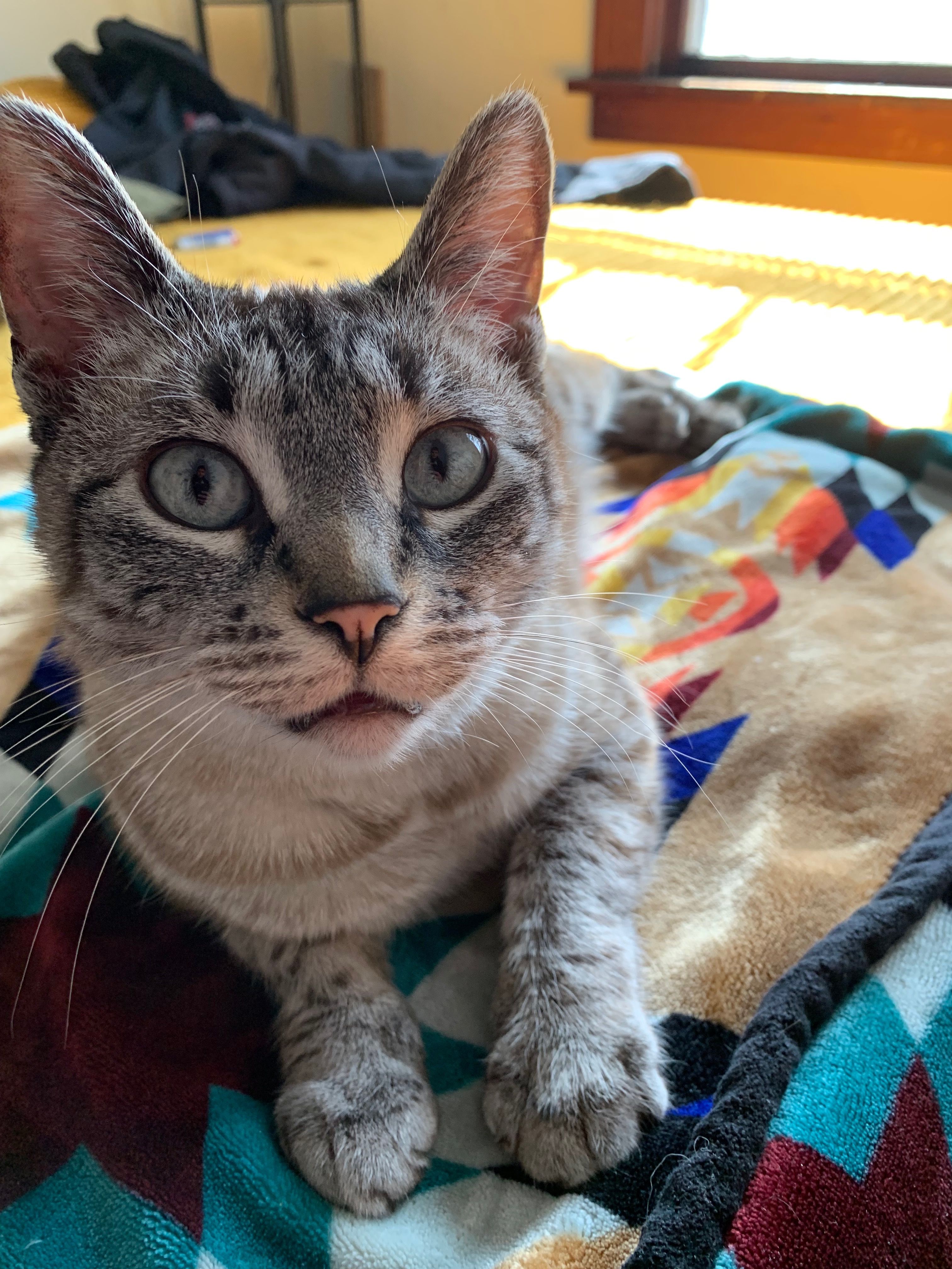 Booger’s Oral Surgery campaign photo, 7 of 8