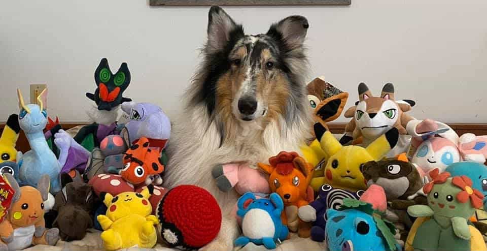 Support Barclay's Cancer Treatment for Sarah campaign photo, 5 of 5