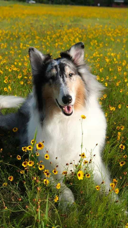 Support Barclay's Cancer Treatment for Sarah campaign photo, 2 of 5