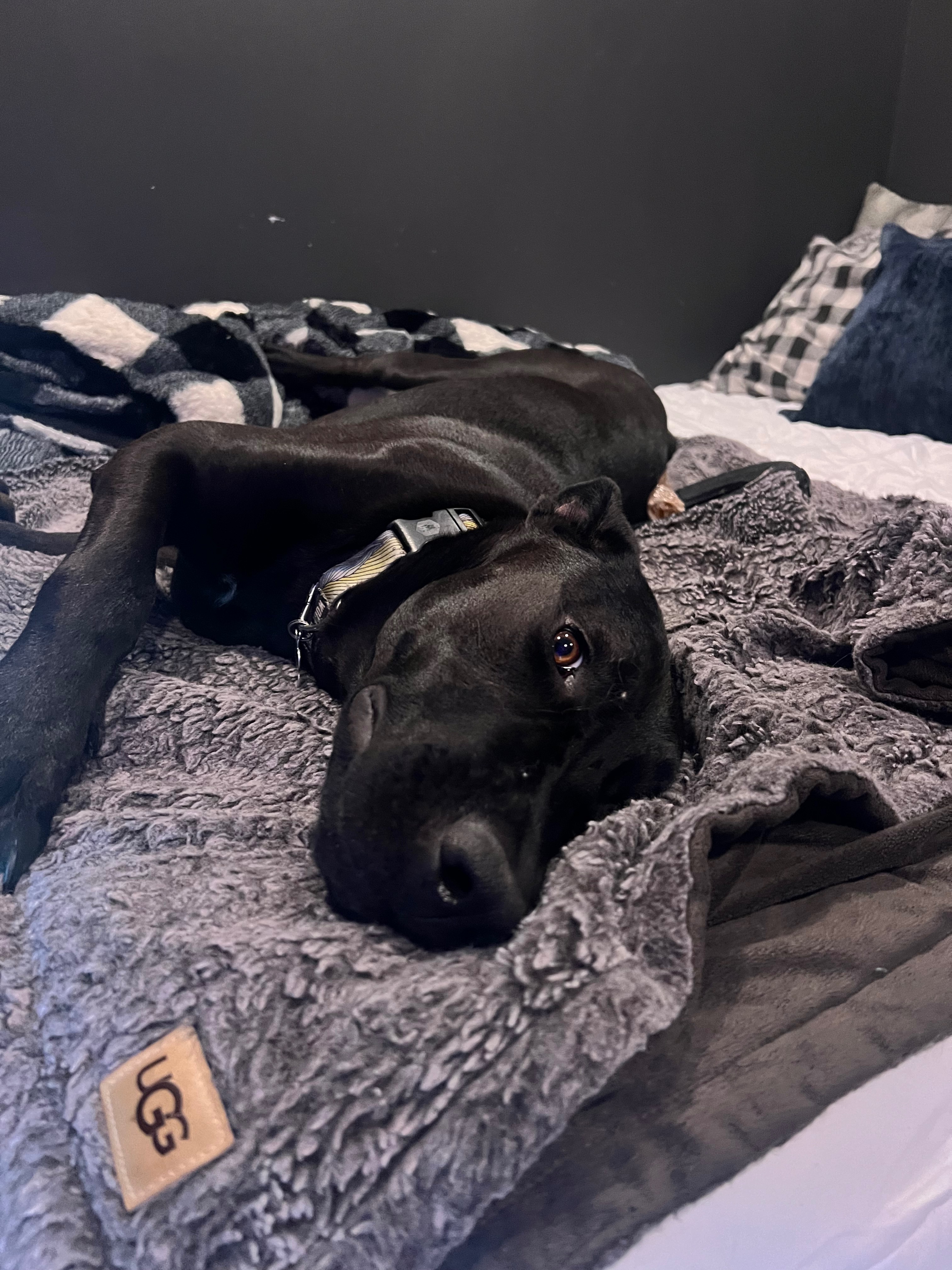 Help Winona Get Her ACL Surgery campaign photo, 7 of 8