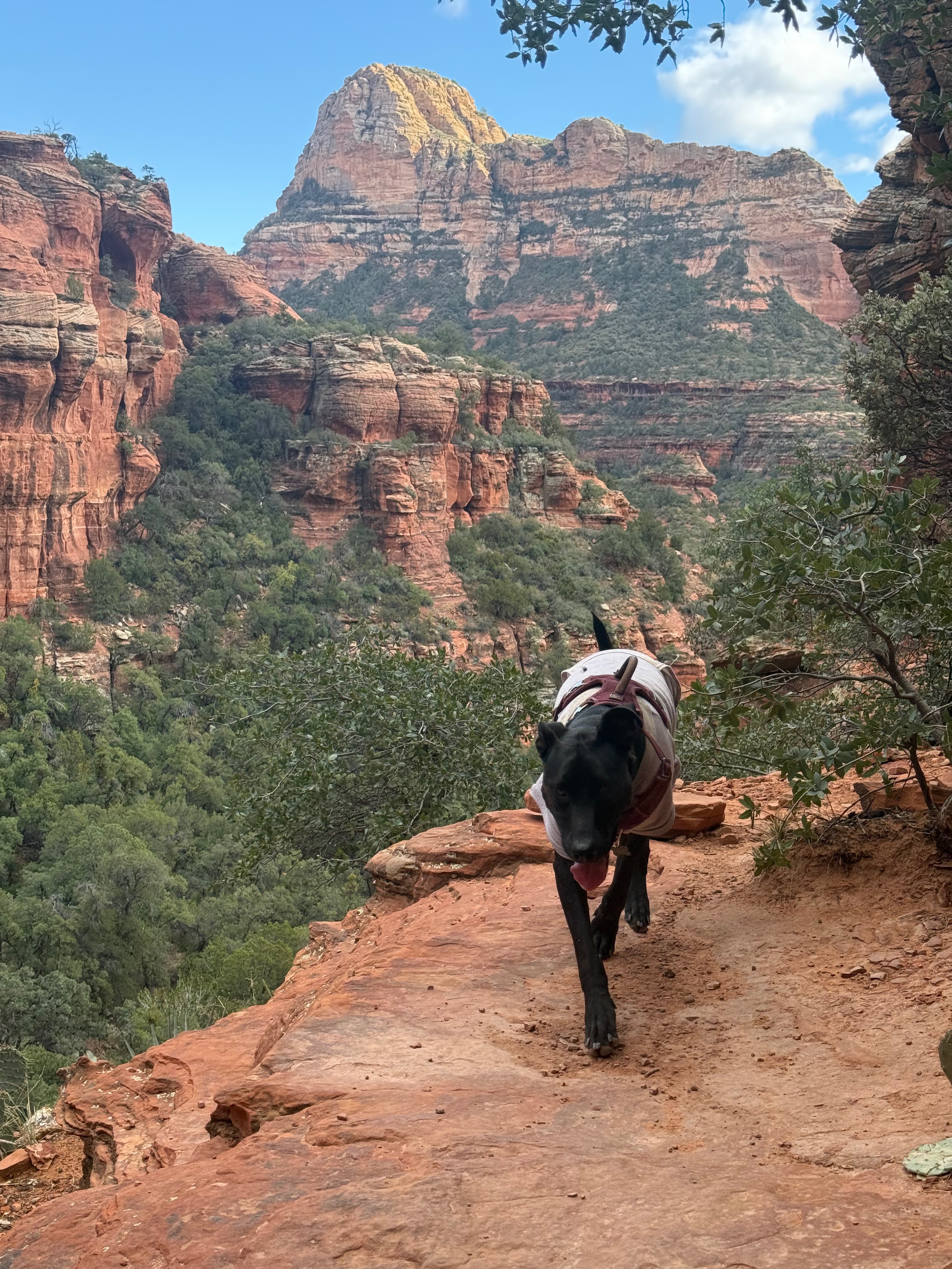Help Winona Get Her ACL Surgery campaign photo, 4 of 8