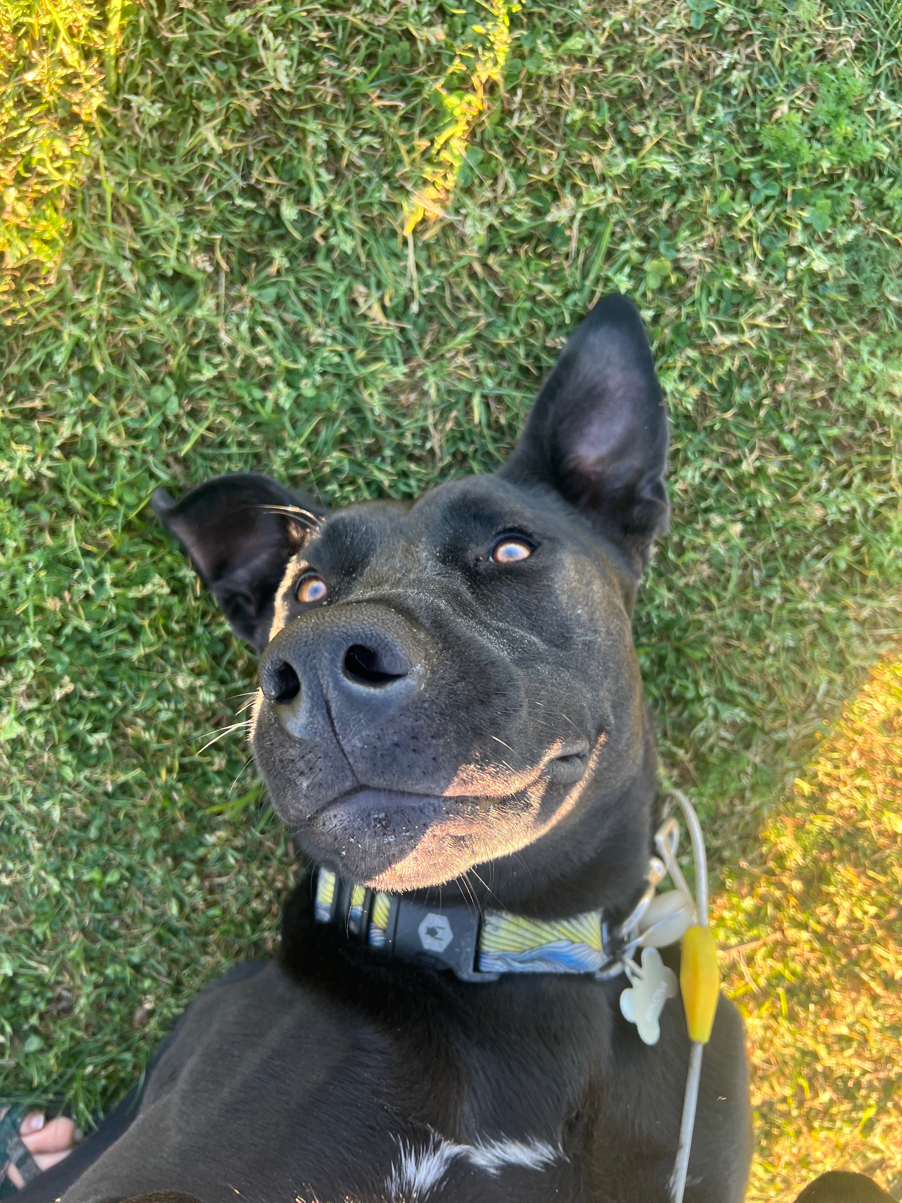 Help Winona Get Her ACL Surgery campaign photo, 5 of 8
