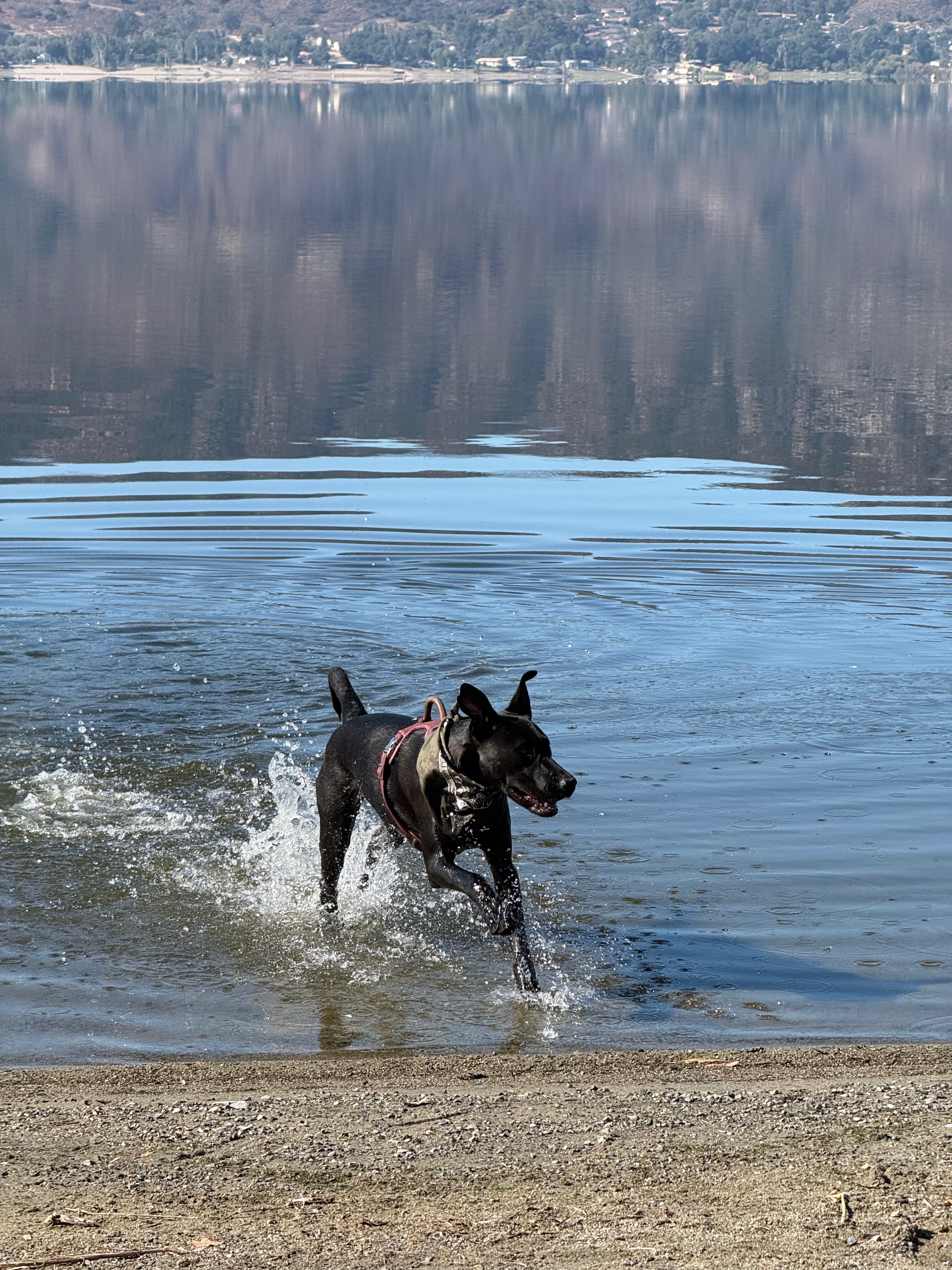 Help Winona Get Her ACL Surgery campaign photo, 6 of 8