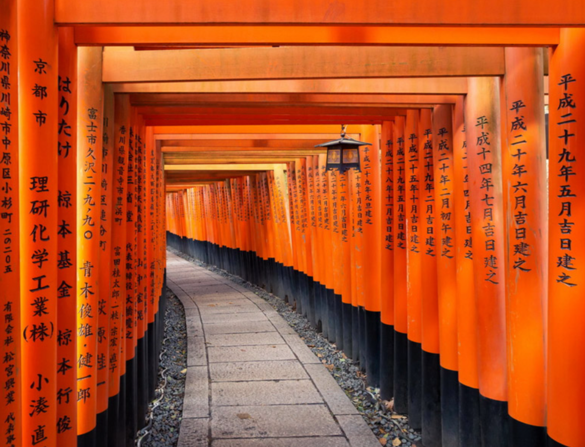Help a Colorado Teen Explore Japan and Learn About the World campaign photo, 2 of 7