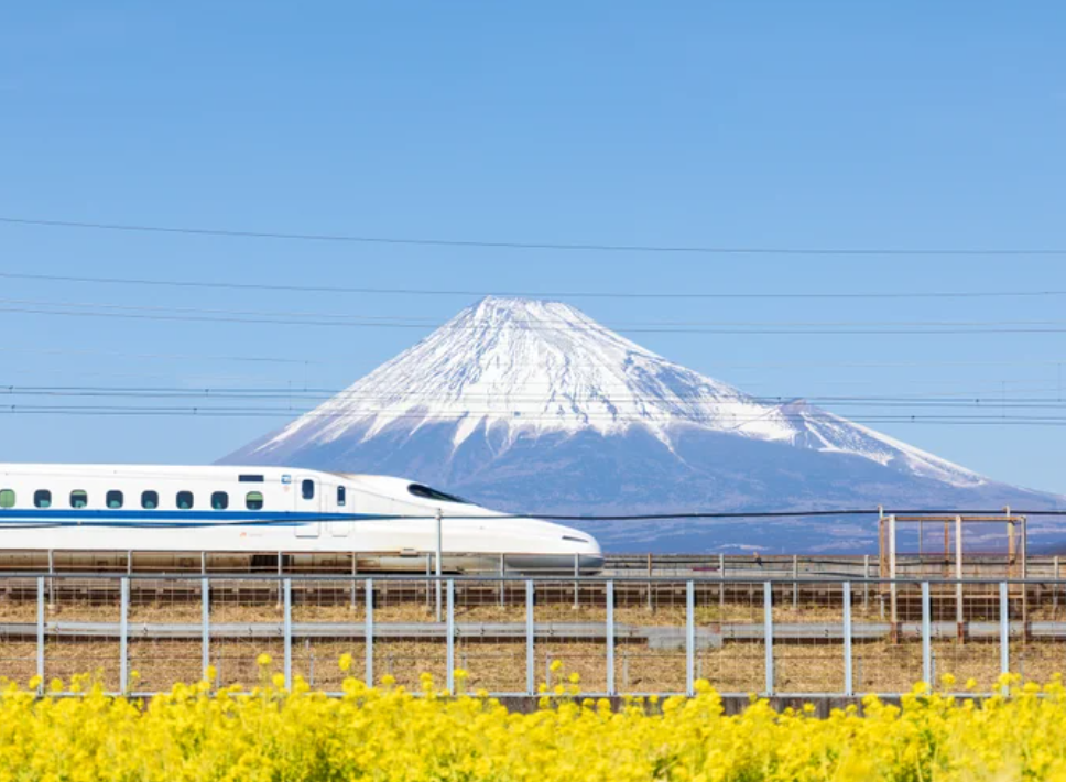 Help a Colorado Teen Explore Japan and Learn About the World campaign photo, 4 of 7