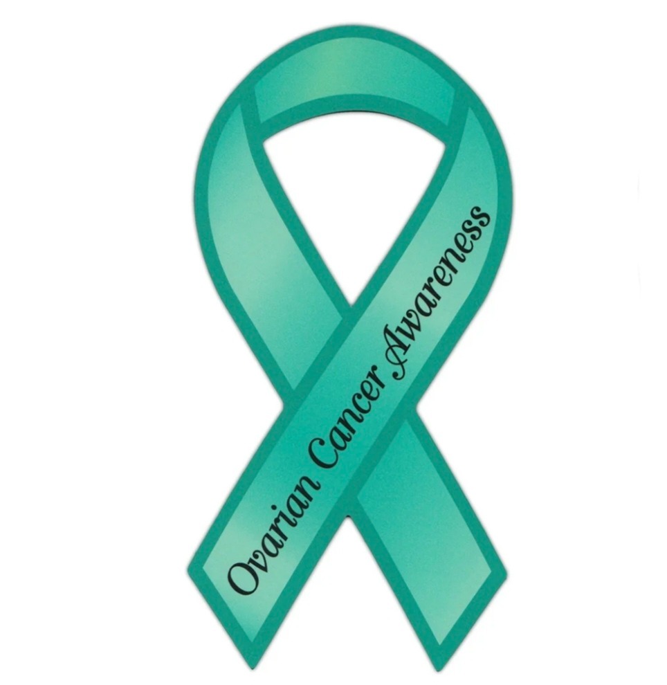 Lisa's Cancer Fight campaign photo, 2 of 4
