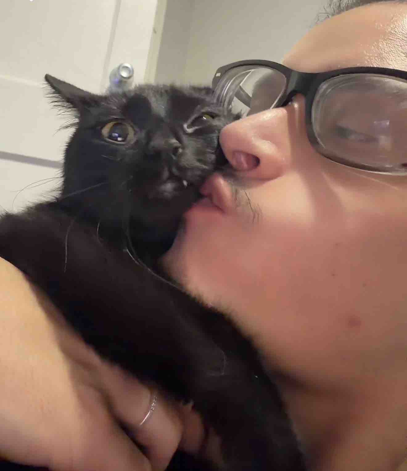 Help me and my cat have a roof over our head campaign photo, 6 of 7