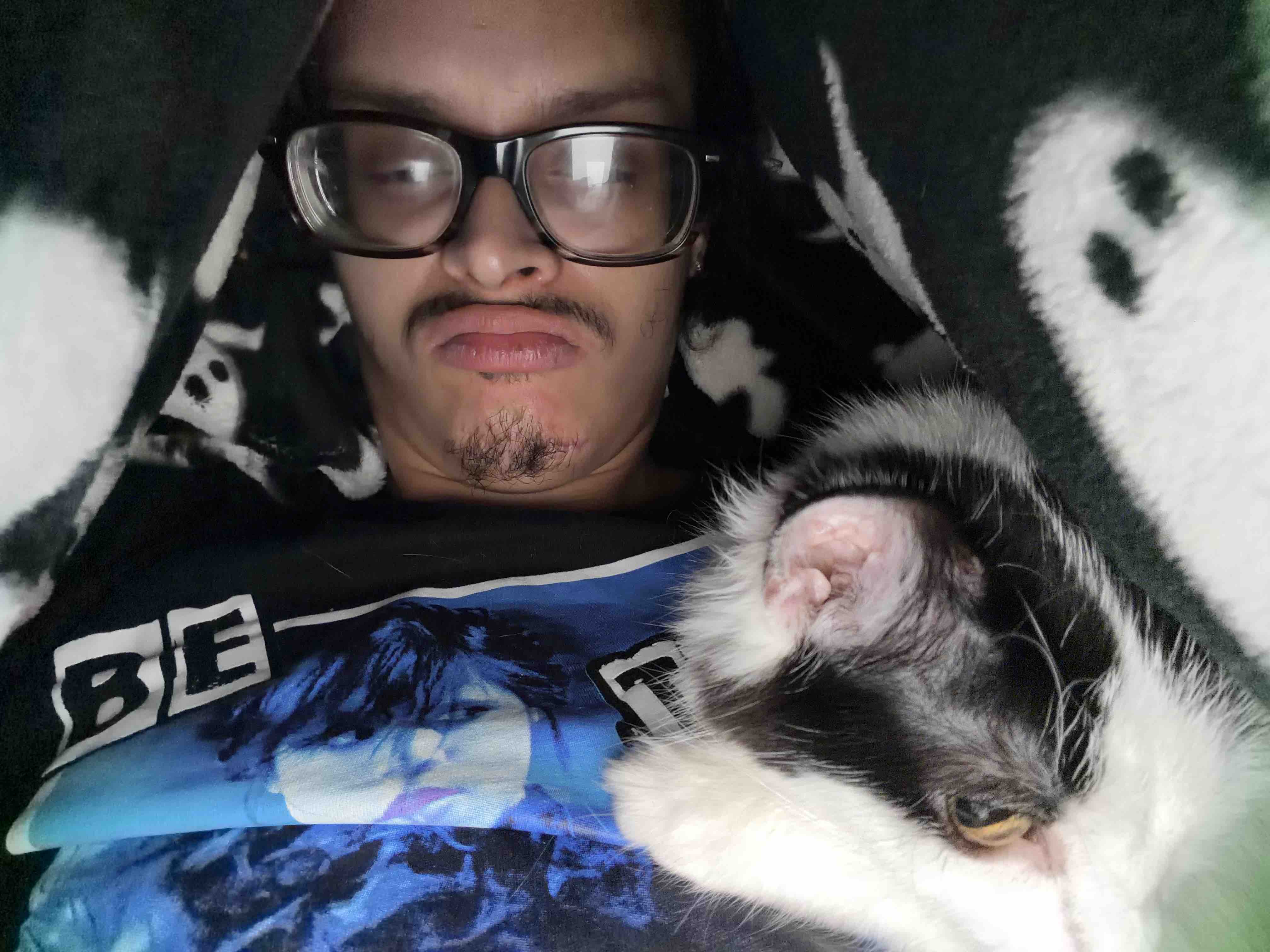 Help me and my cat have a roof over our head campaign photo, 2 of 7