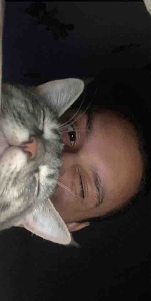 Help me and my cat have a roof over our head campaign photo, 4 of 7