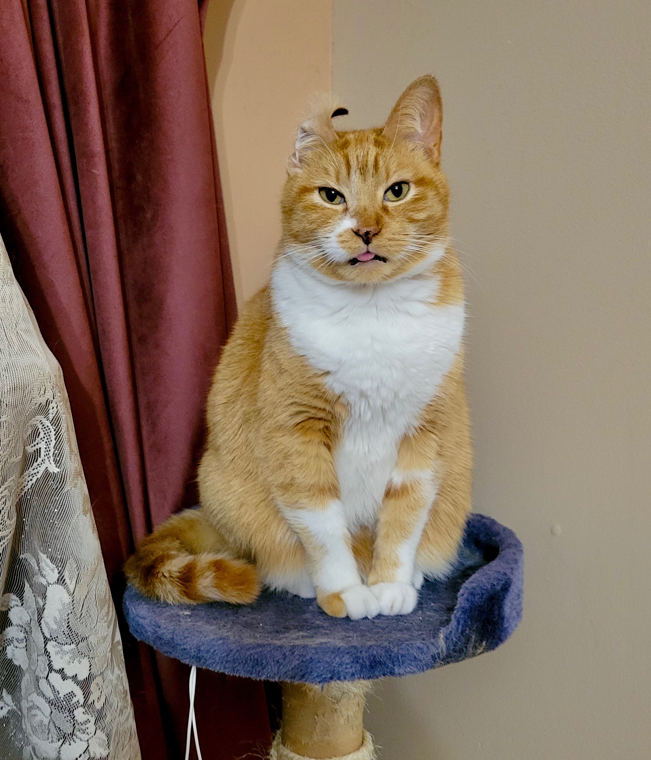 Help Sophie Eat Again: A Life-Saving Surgery campaign photo, 7 of 8