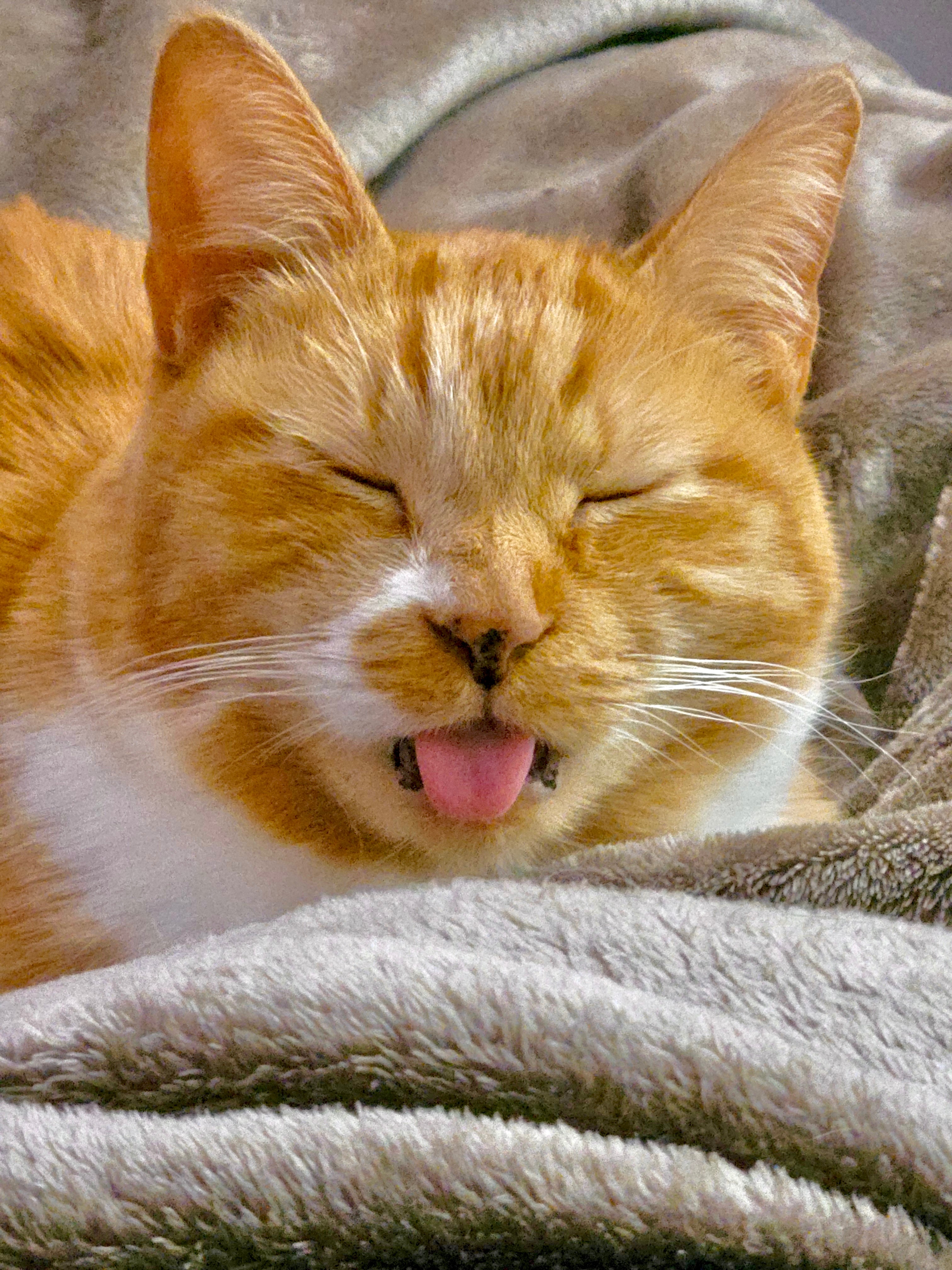 Help Sophie Eat Again: A Life-Saving Surgery campaign photo, 2 of 8