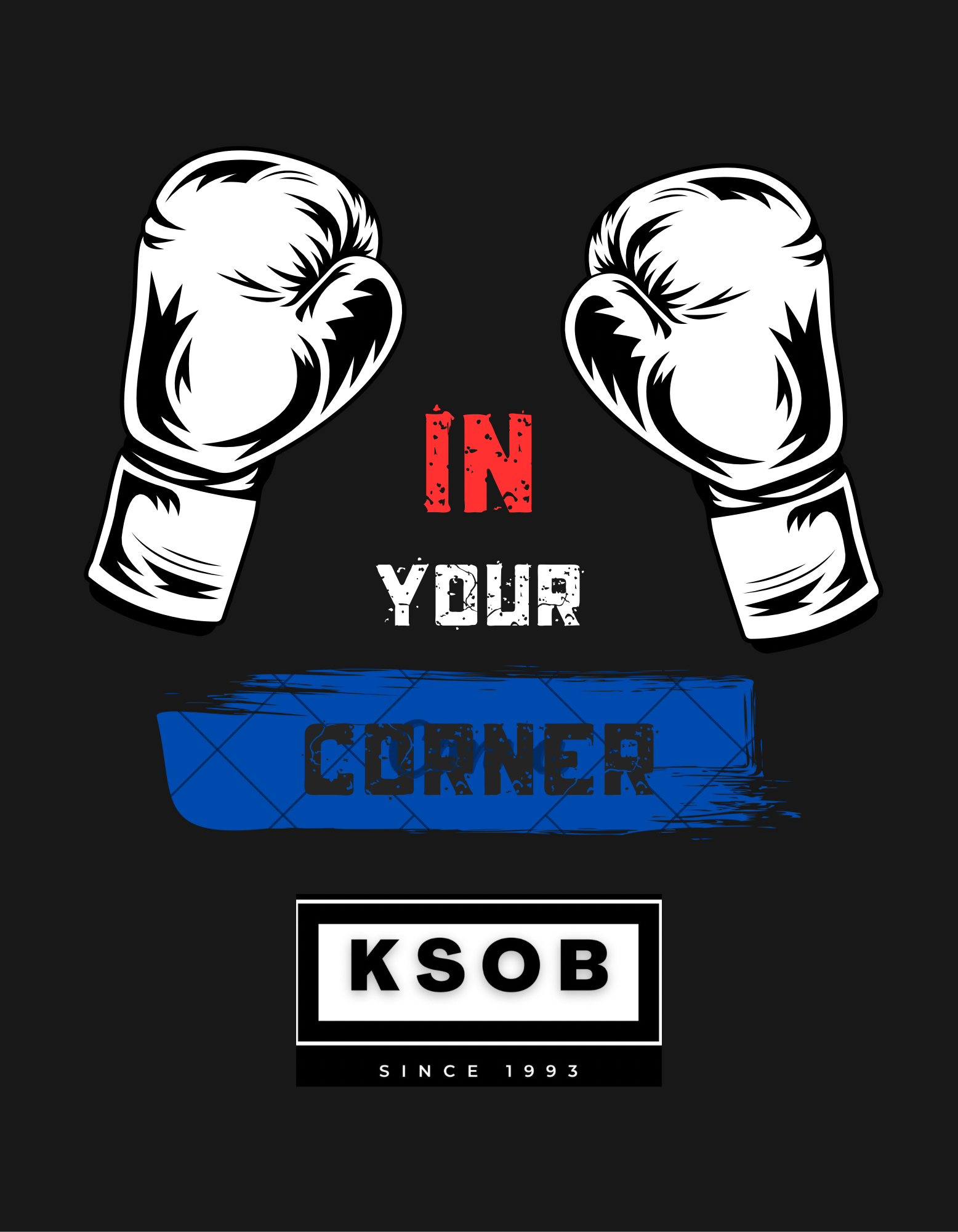 In Your Corner:  Punching Through the Silence campaign photo, 5 of 6