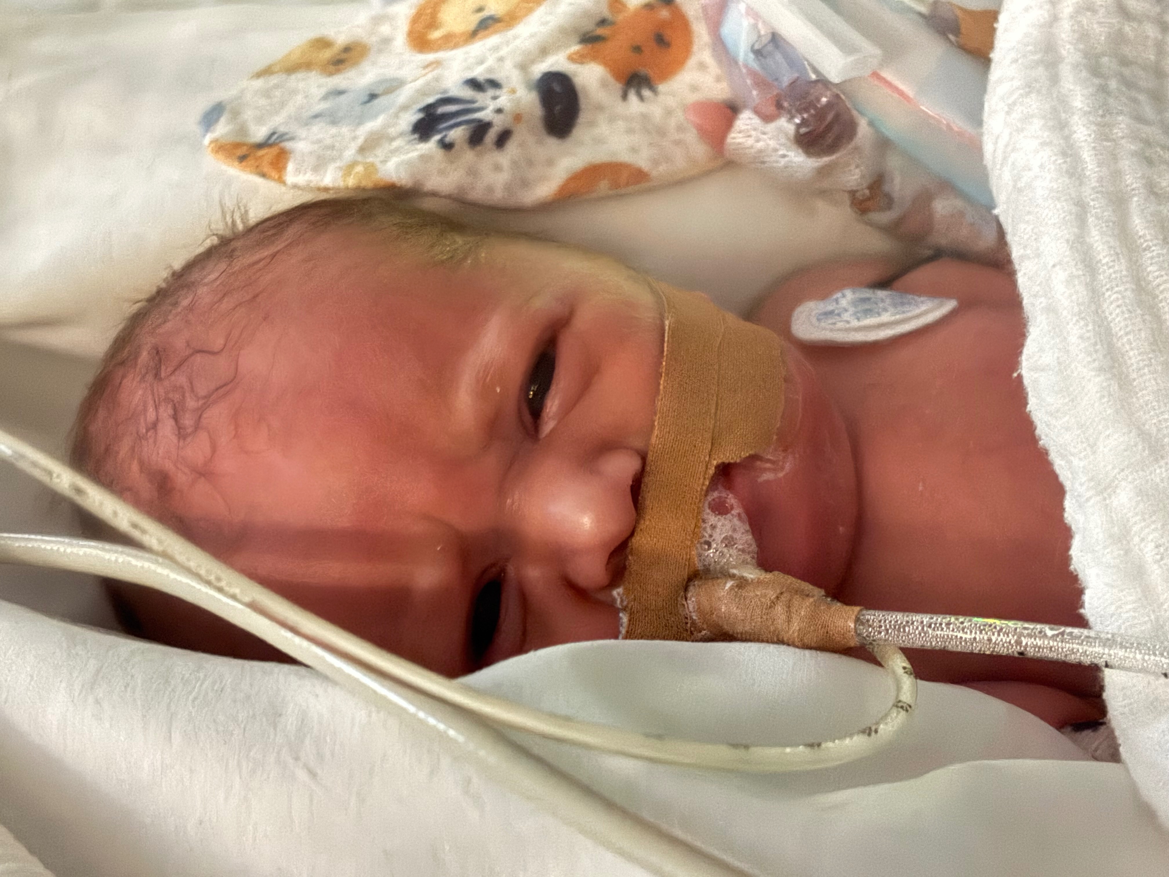 Support baby Dominic’s family during this hard time campaign photo, 5 of 6