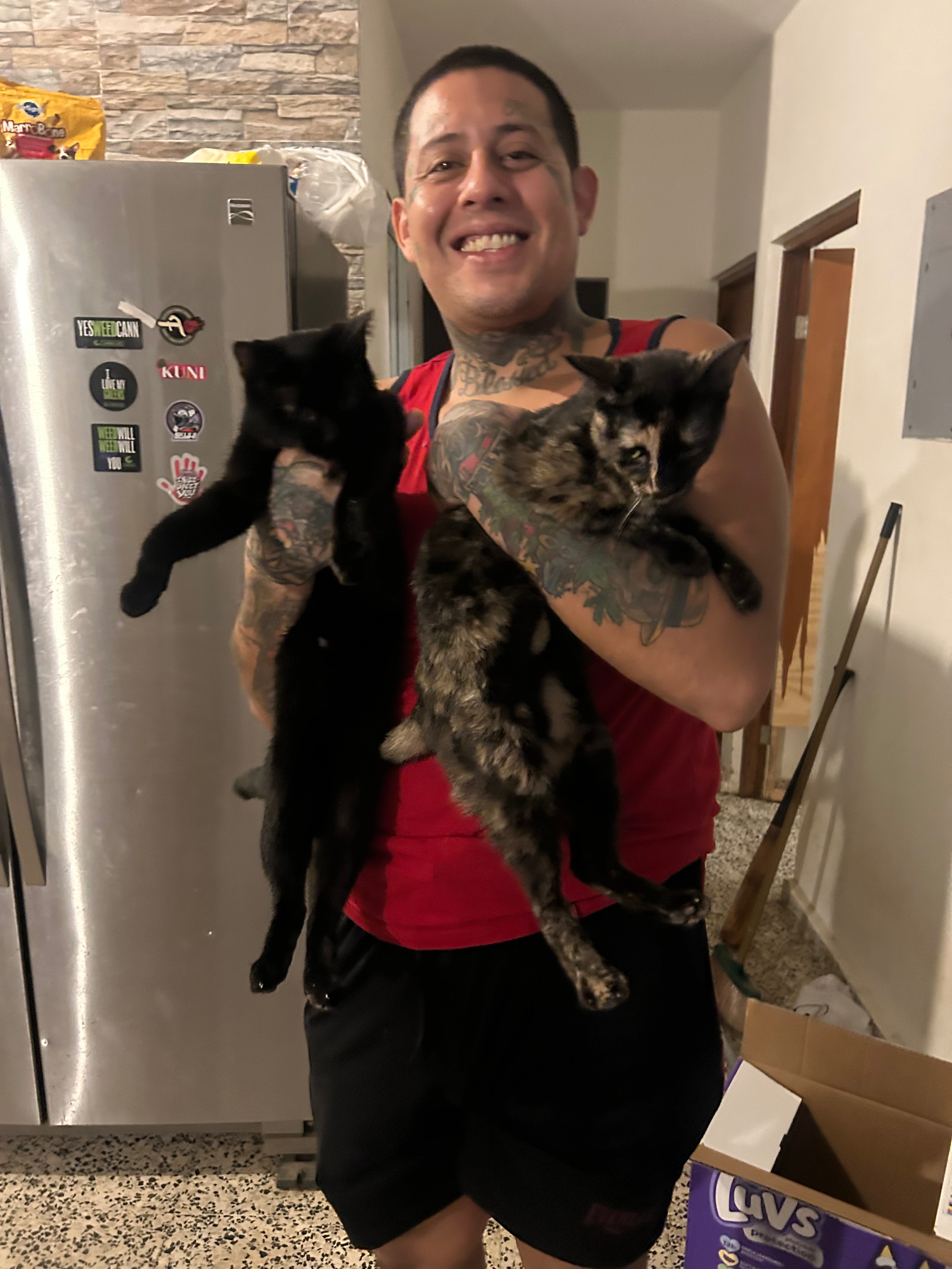 Help Us Give Puerto Rico’s Strays a Forever Home campaign photo, 2 of 8