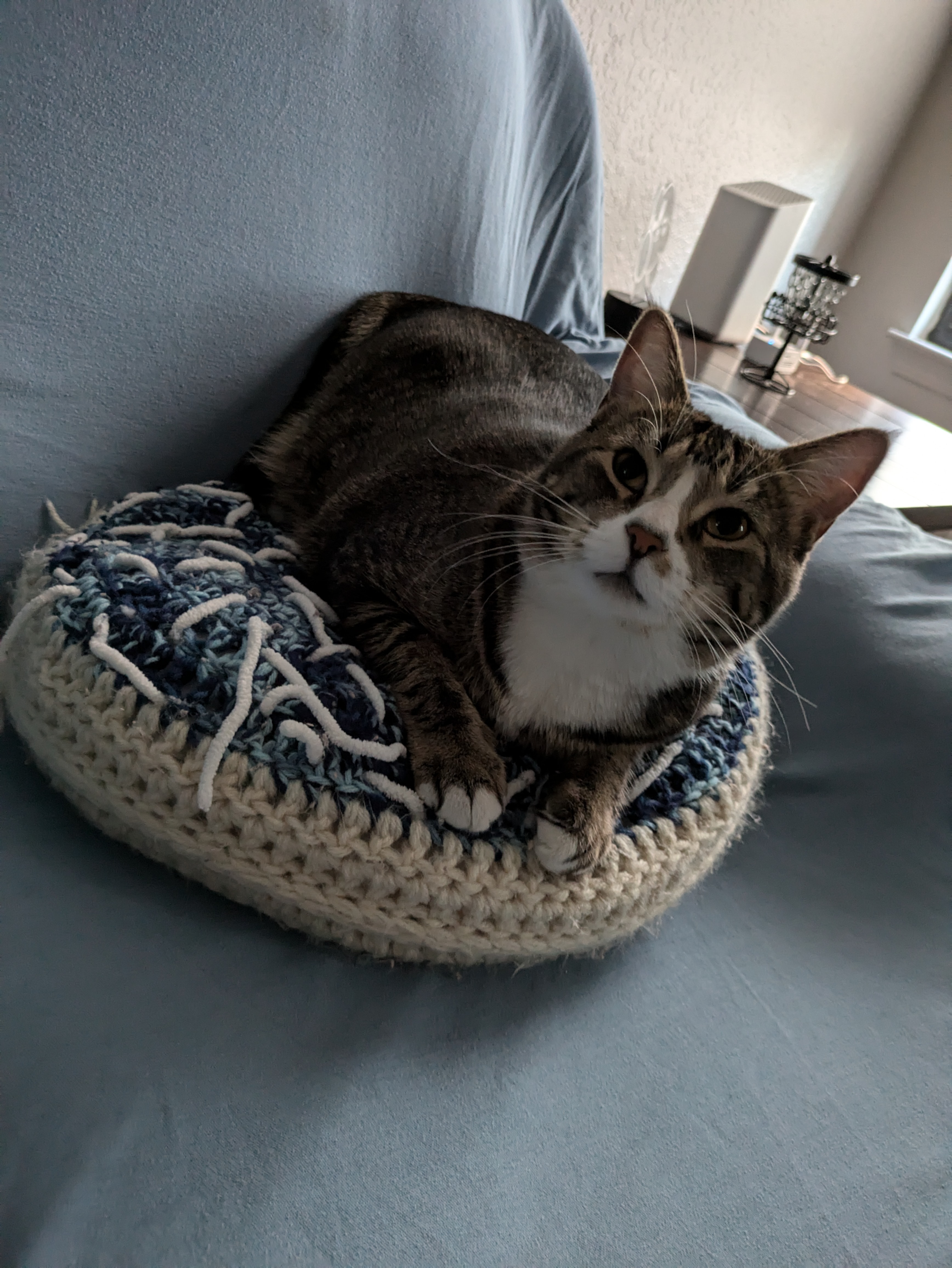 Please help Toast’s Healing Journey campaign photo, 4 of 6