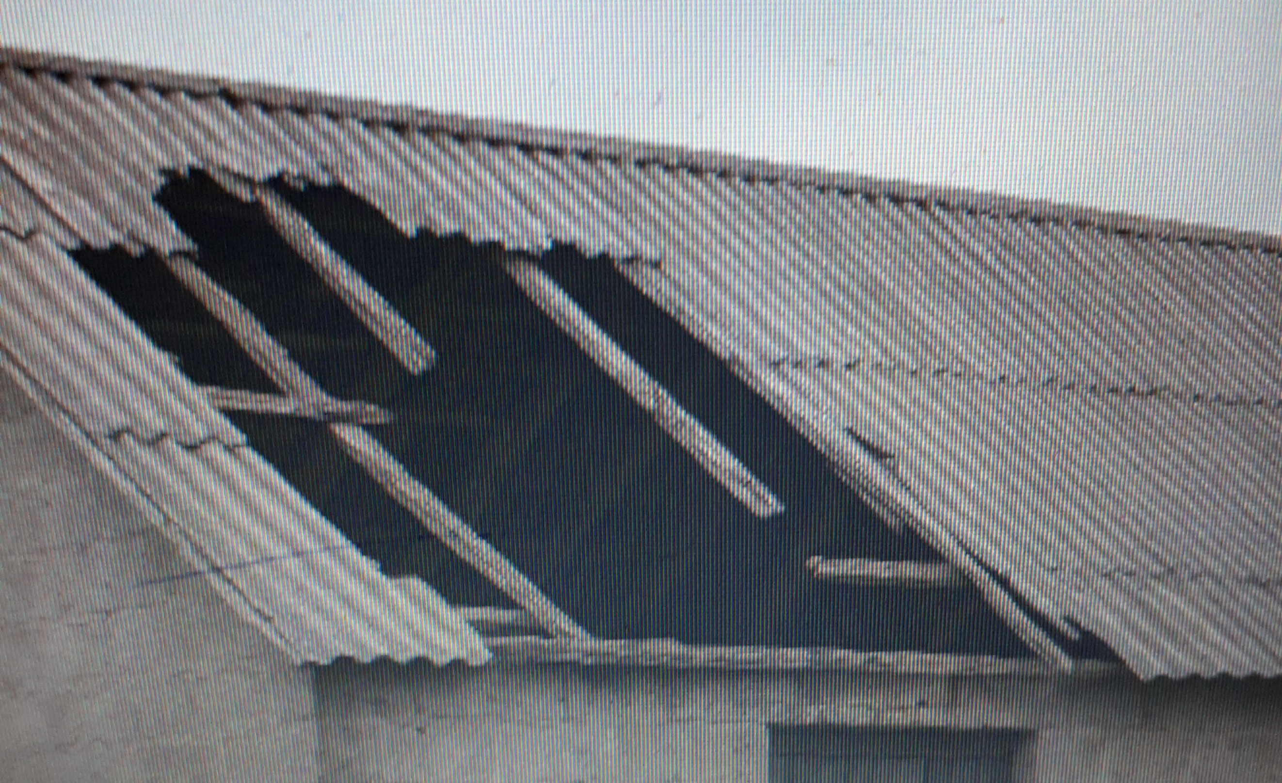 Help Wendy Pay For Repairs to Donkey's Barn Roof campaign photo, 4 of 8