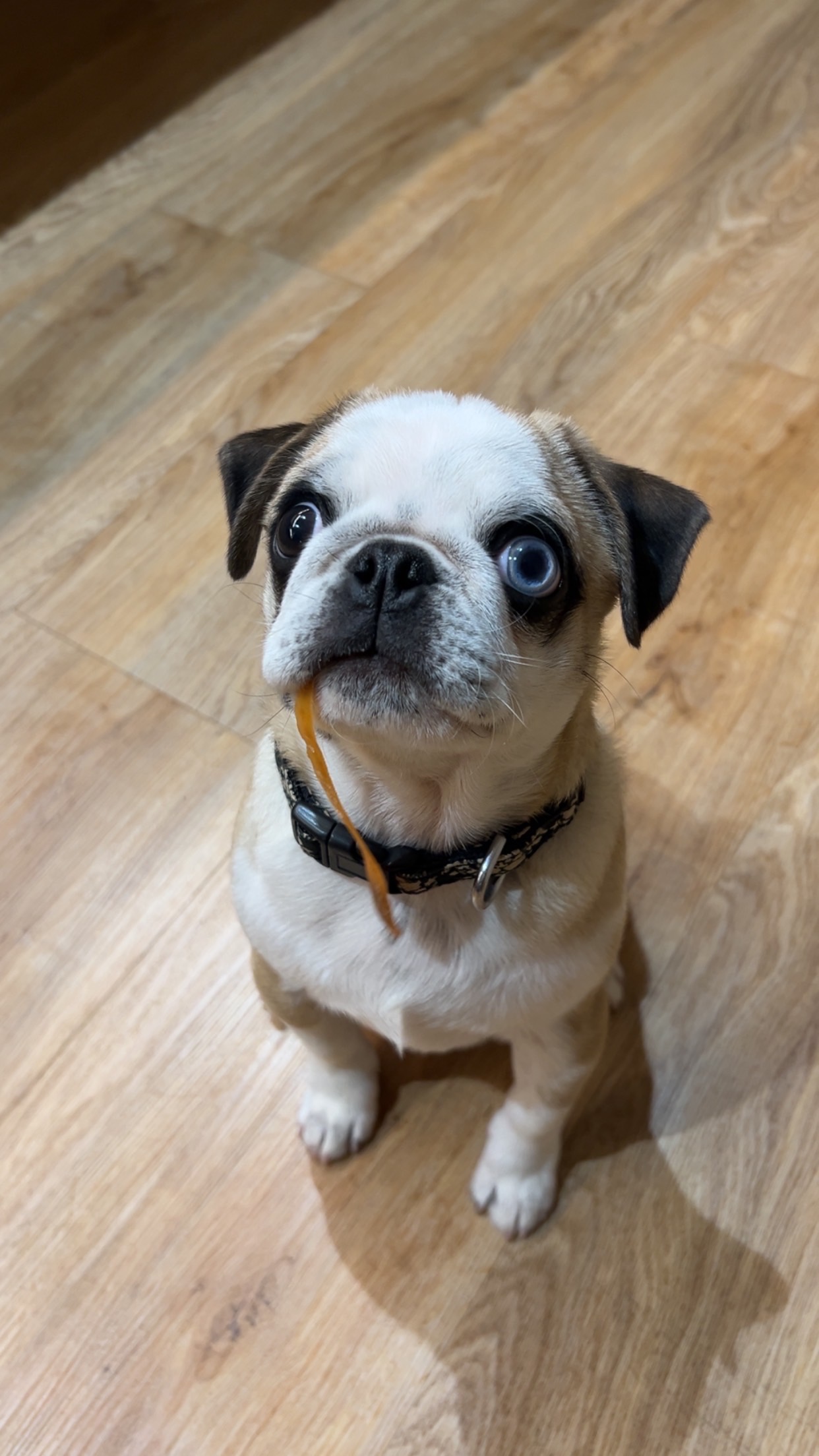 Reeses needs to have spinal surgery campaign photo, 4 of 8