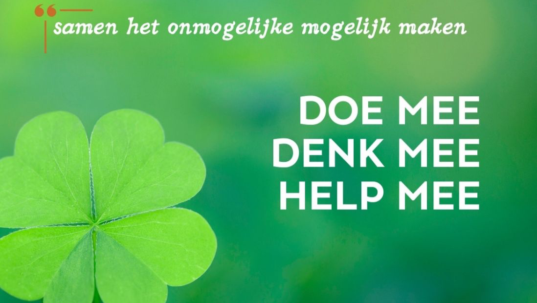 Tiny house voor Miranda pinned link photo