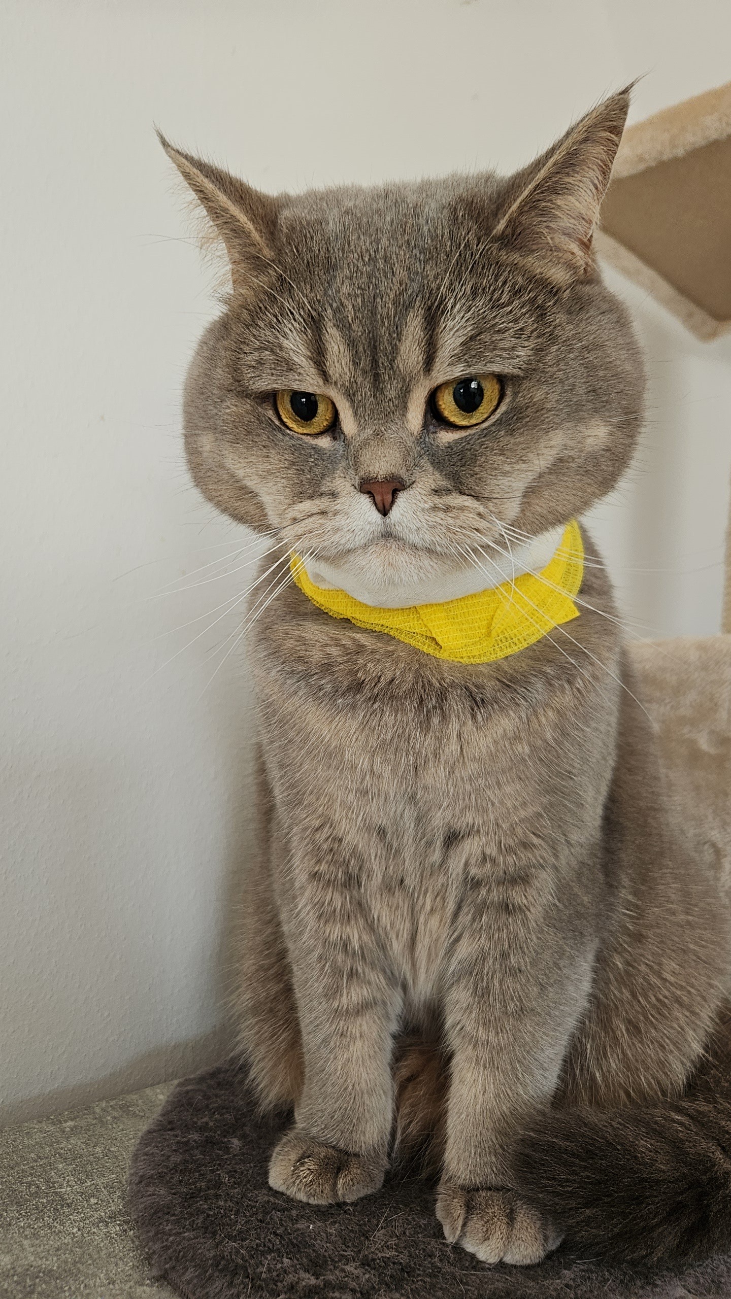 Hilfe für Joschi campaign photo, 7 of 8