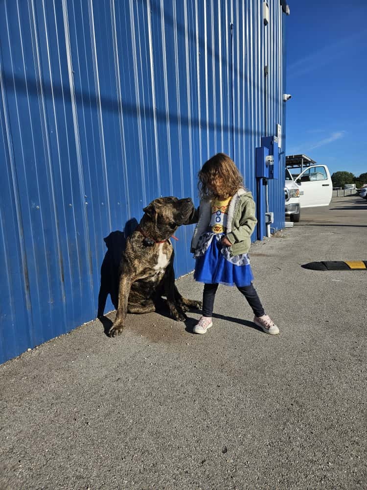 Help Chulo Walk Again: Support His Surgery campaign photo, 7 of 8