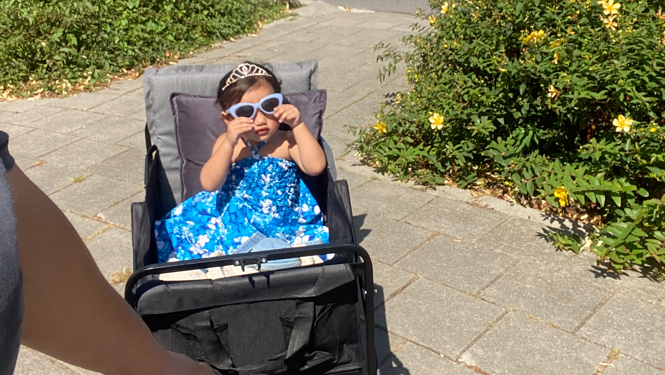 Single mom trying to start over! pinned link photo