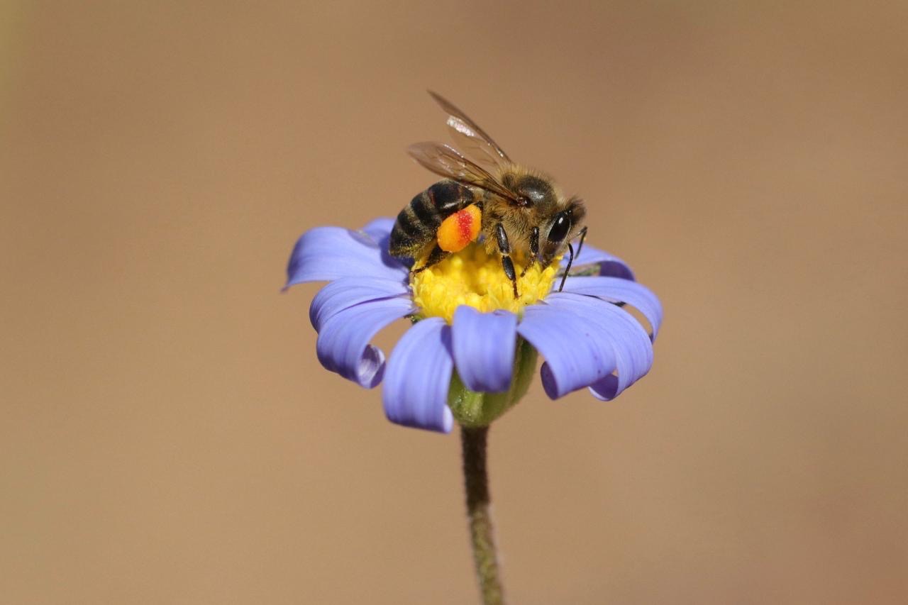 Help purchase 17,600 acres for a wildlife reserve! campaign photo, 7 of 8