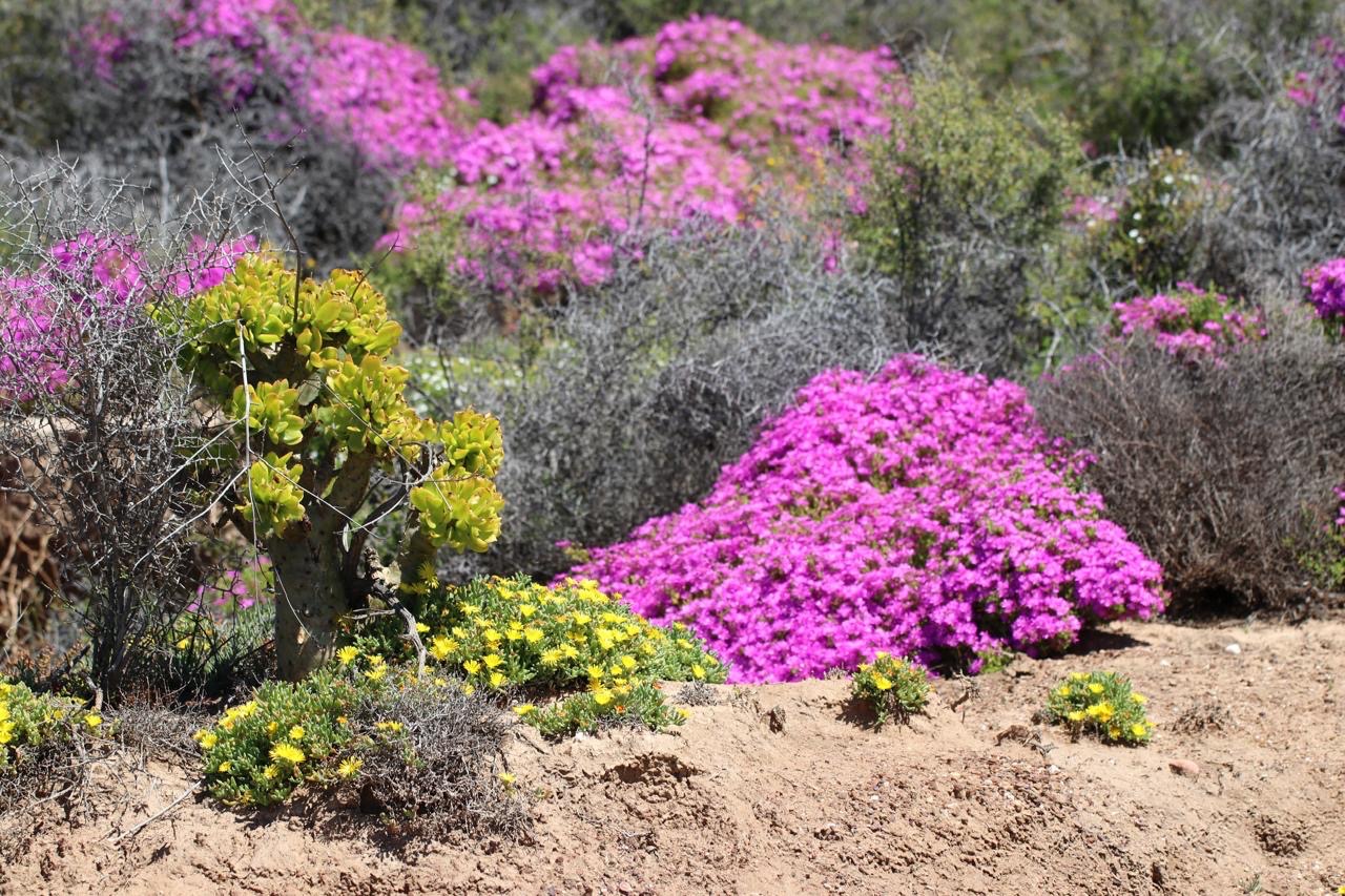 Help purchase 17,600 acres for a wildlife reserve! campaign photo, 5 of 8