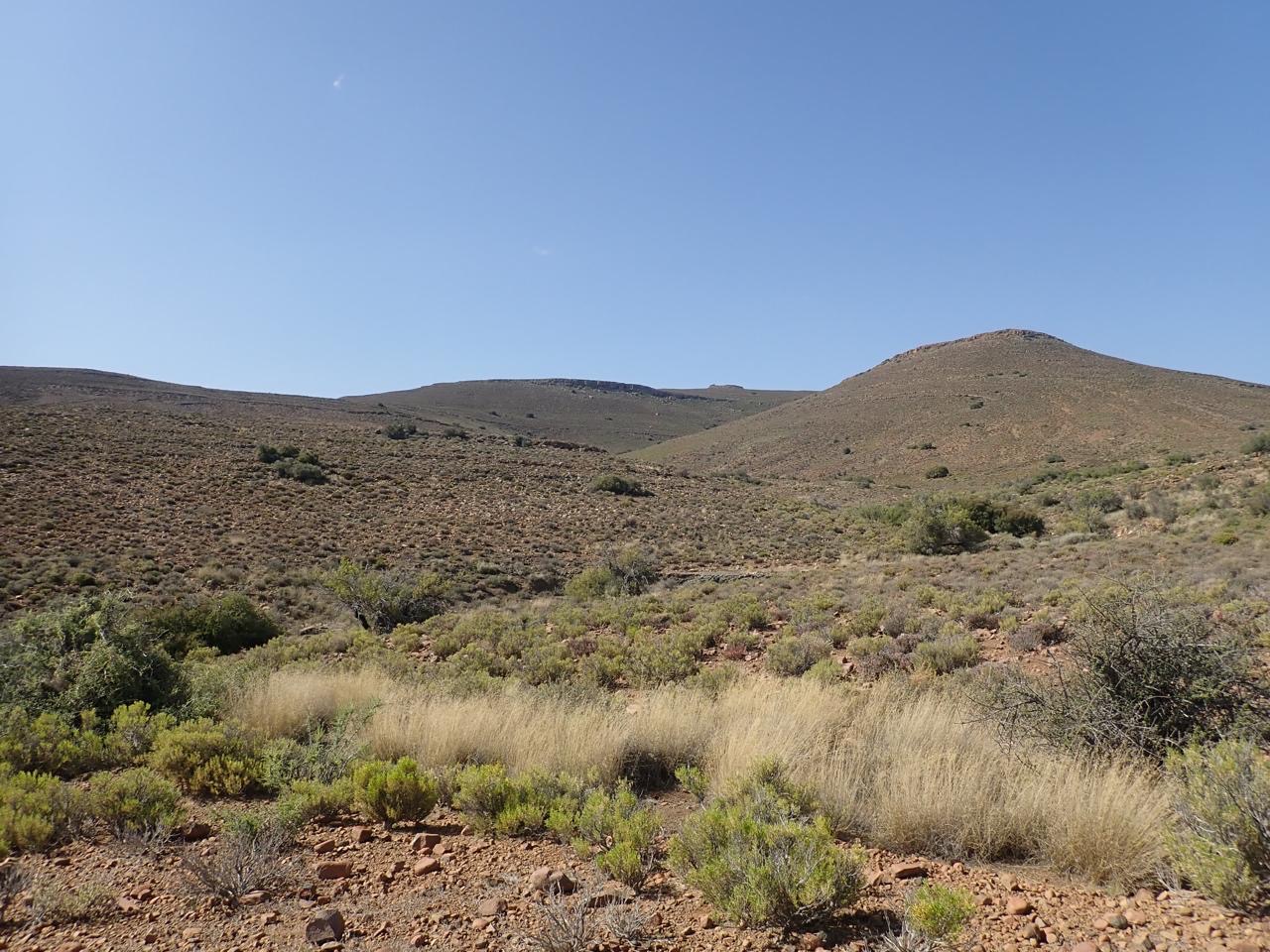 Help purchase 17,600 acres for a wildlife reserve! campaign photo, 6 of 8