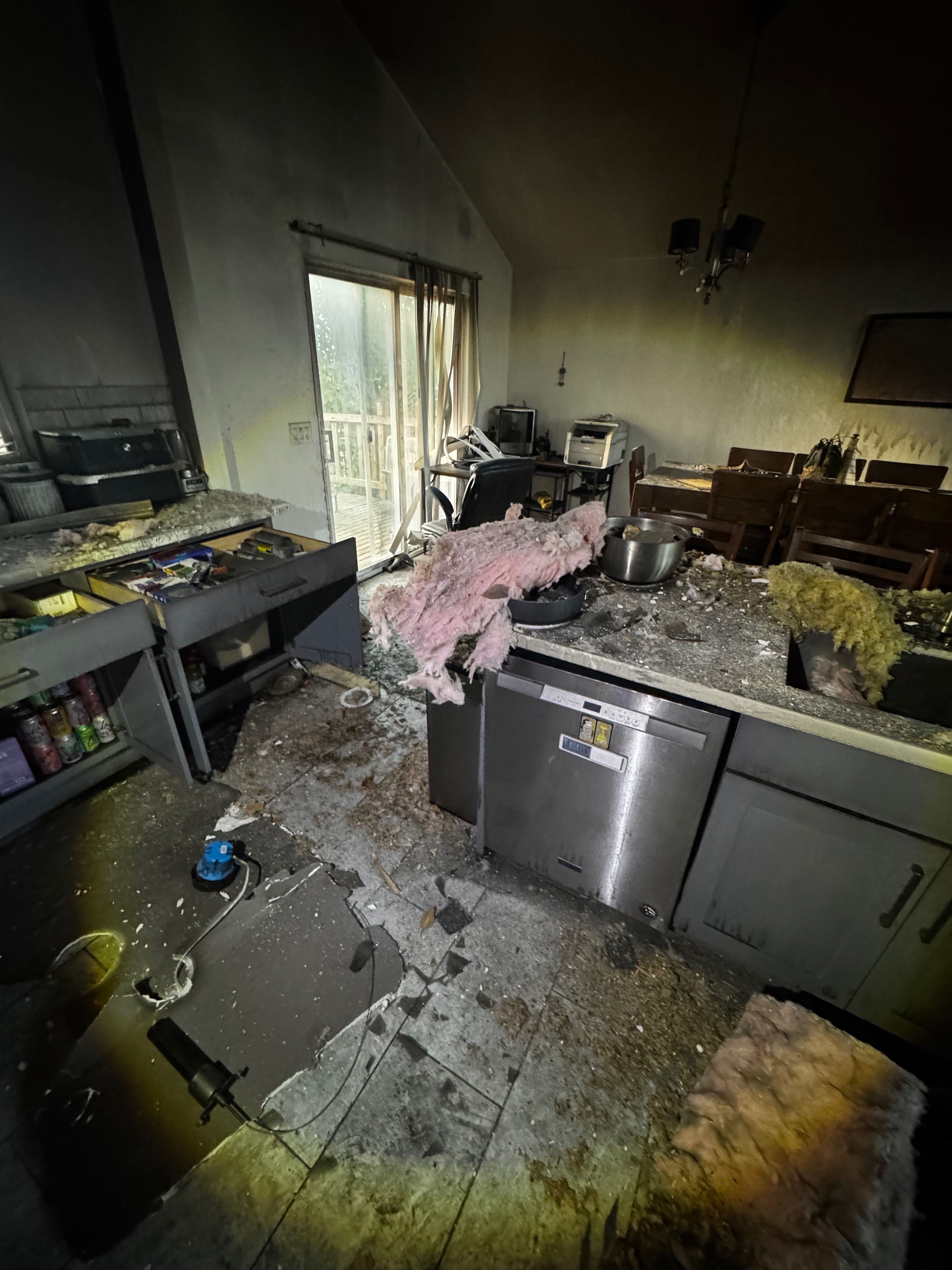 Rebuild hope. Help our pets and family after fatal home fire campaign photo, 5 of 6