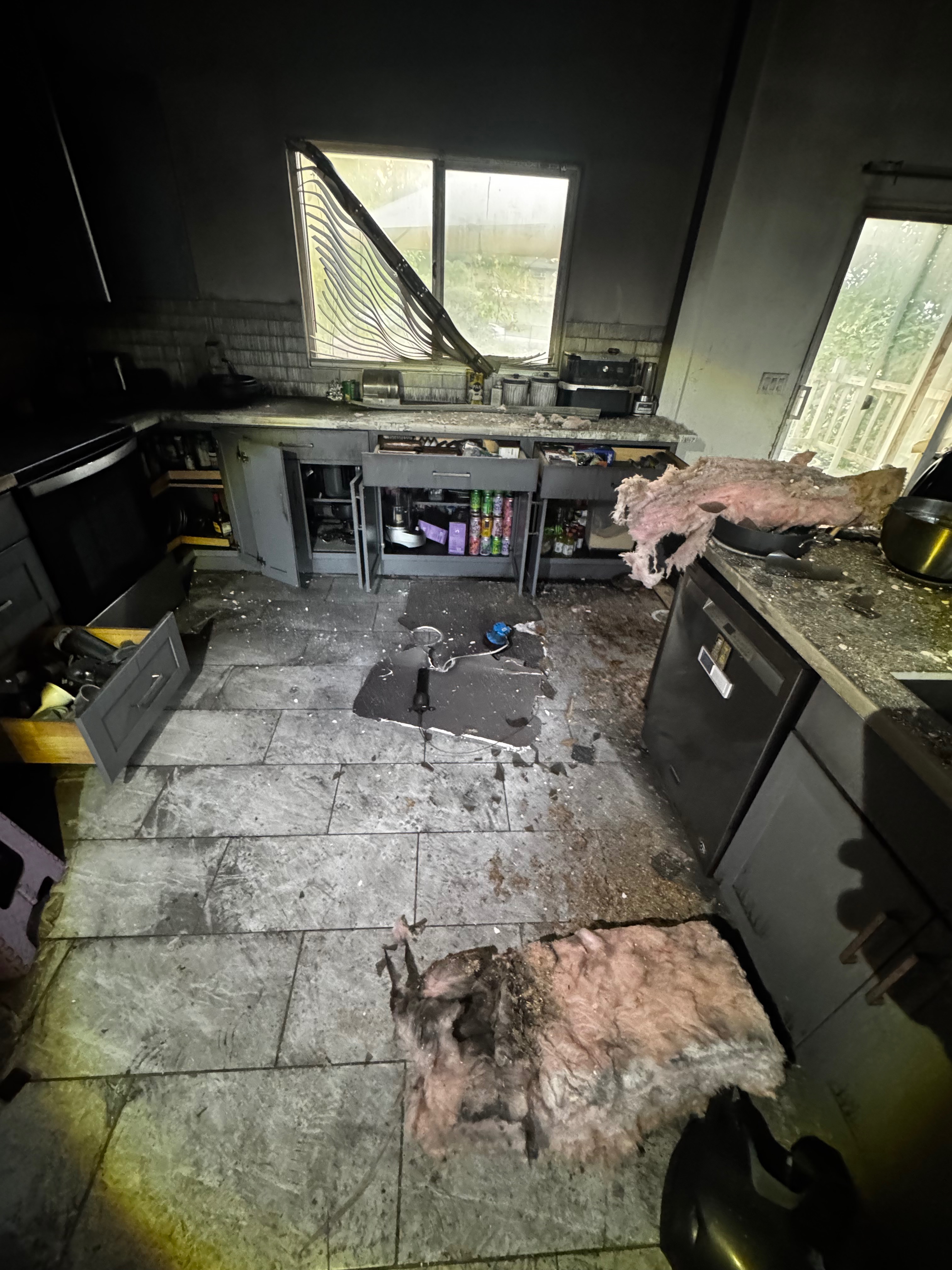 Rebuild hope. Help our pets and family after fatal home fire campaign photo, 2 of 6