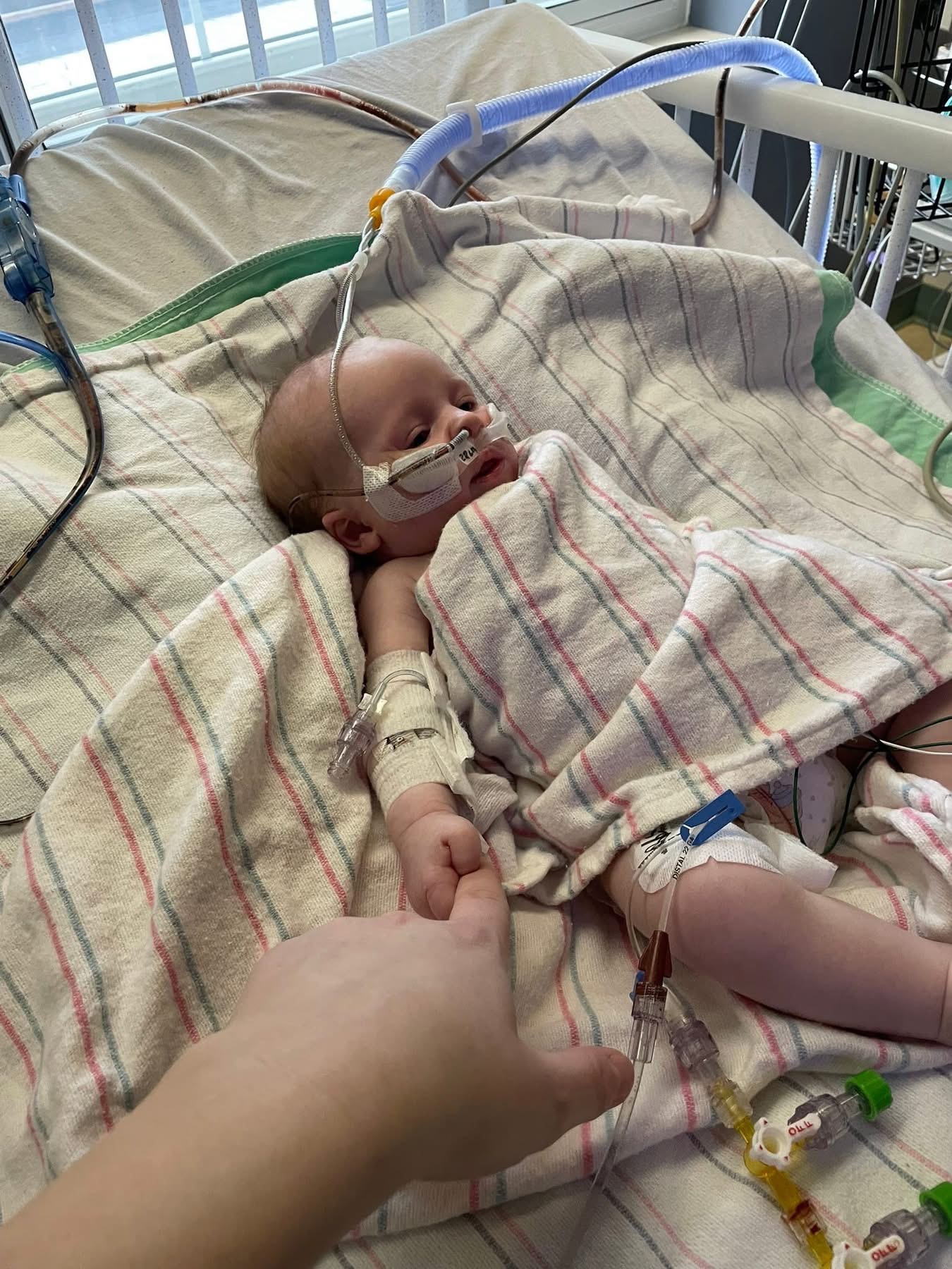 Support Alexandria's Medical Journey campaign photo, 4 of 5