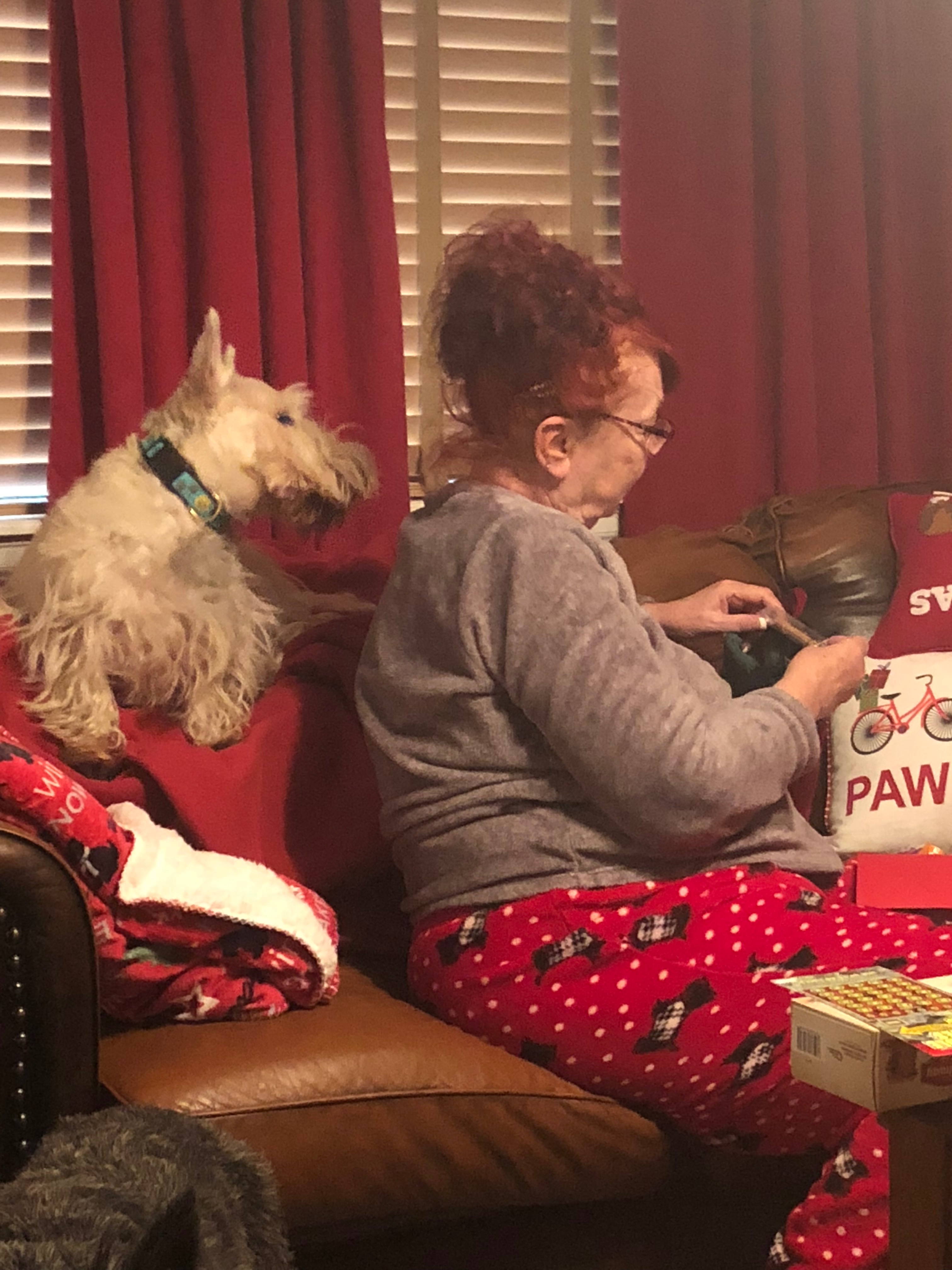 Help Lori Bitney Rest with Her Beloved Pets campaign photo, 4 of 8