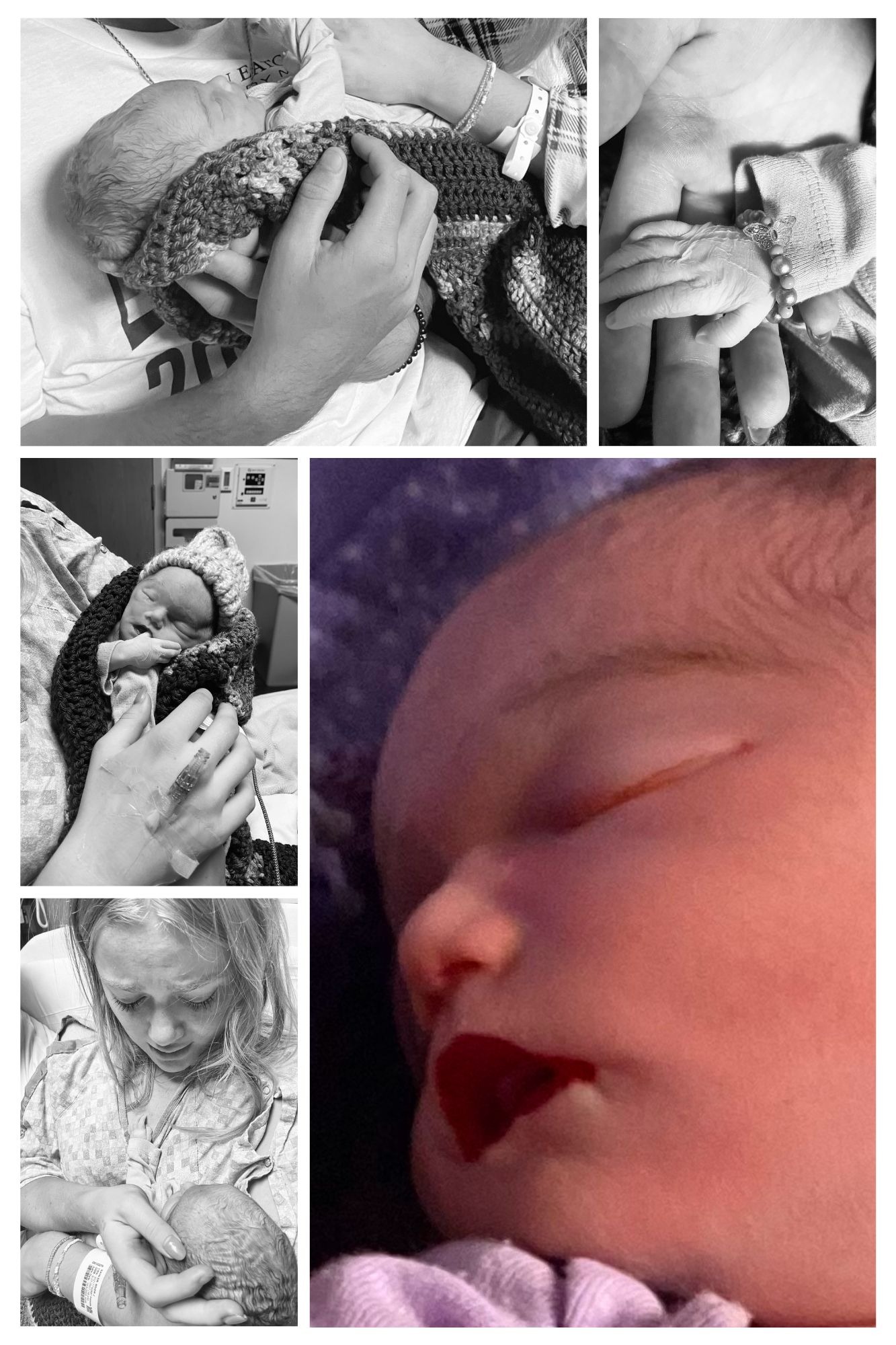 Sweet Baby Violet Rose campaign photo, 4 of 5