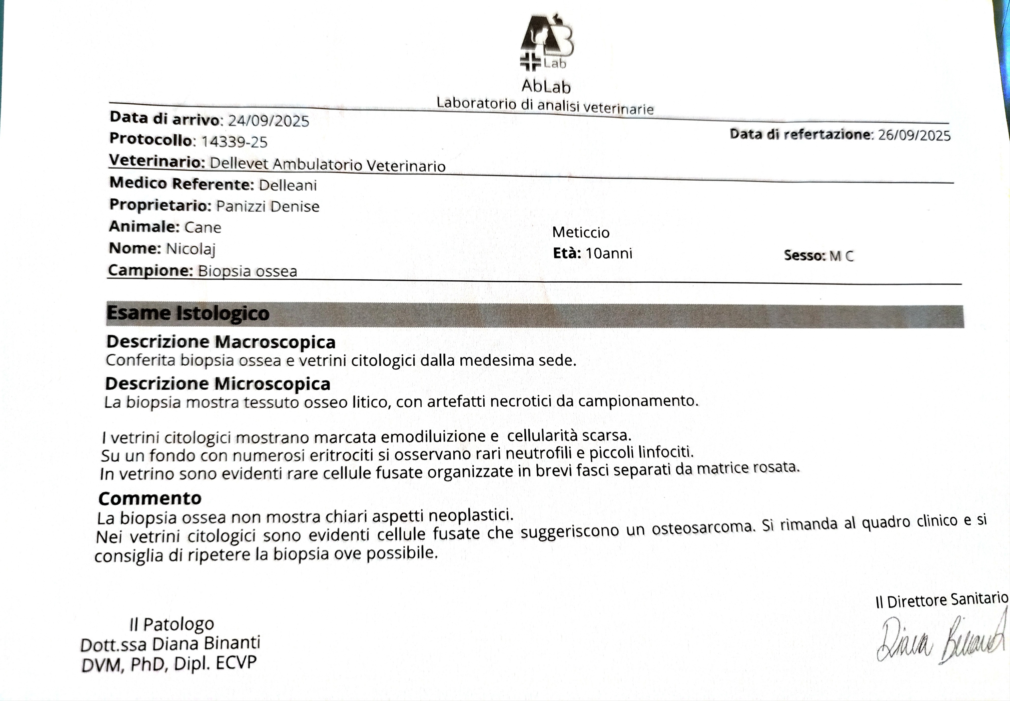 Cure osteosarcoma di Nicolaj campaign photo, 2 of 7