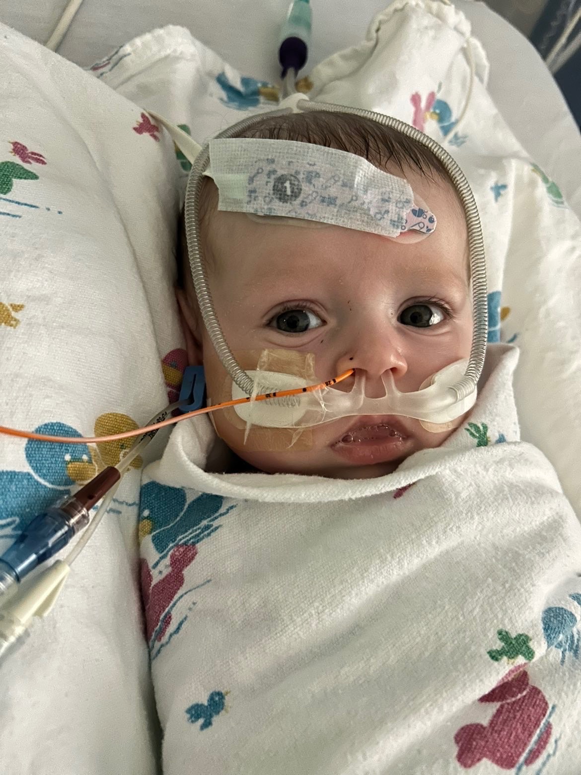 Help Baby Westin Heal His Heart campaign photo, 7 of 8