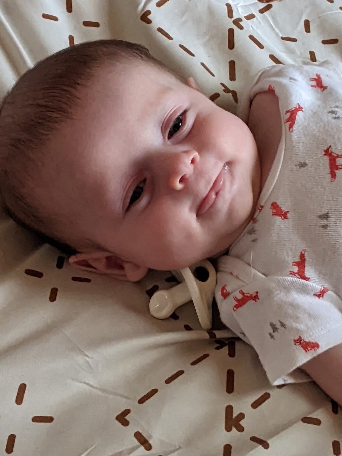 Help Baby Westin Heal His Heart campaign photo, 5 of 8