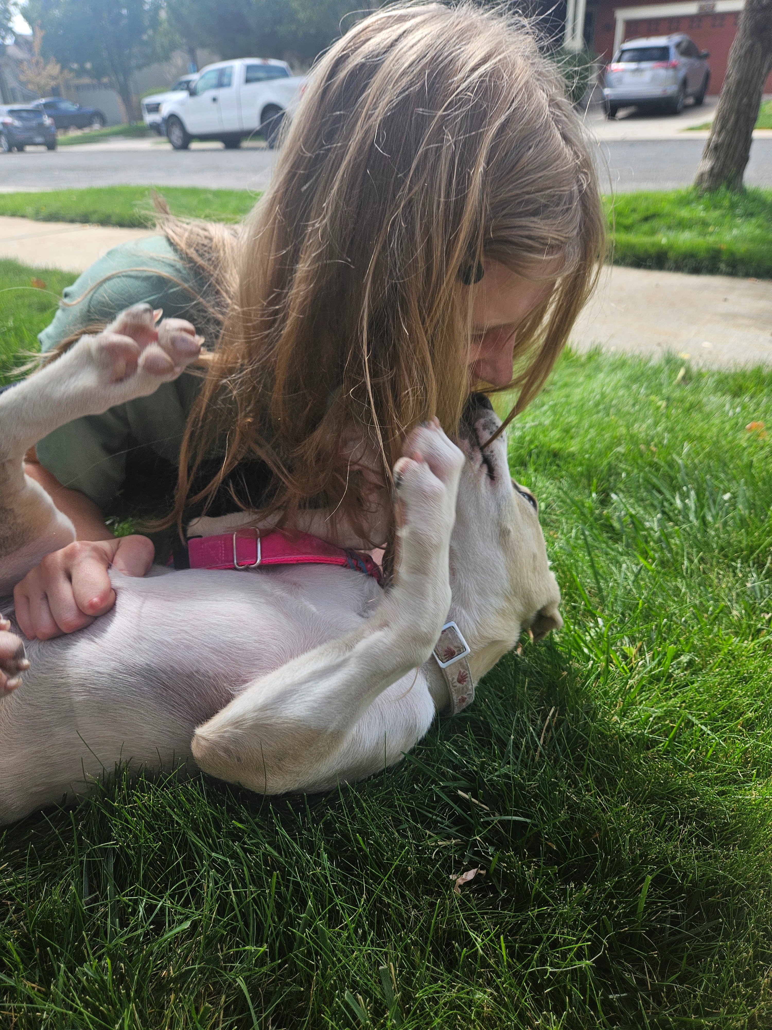 Our Community, Our Grace, and Her Service Dog Journey campaign photo, 2 of 7
