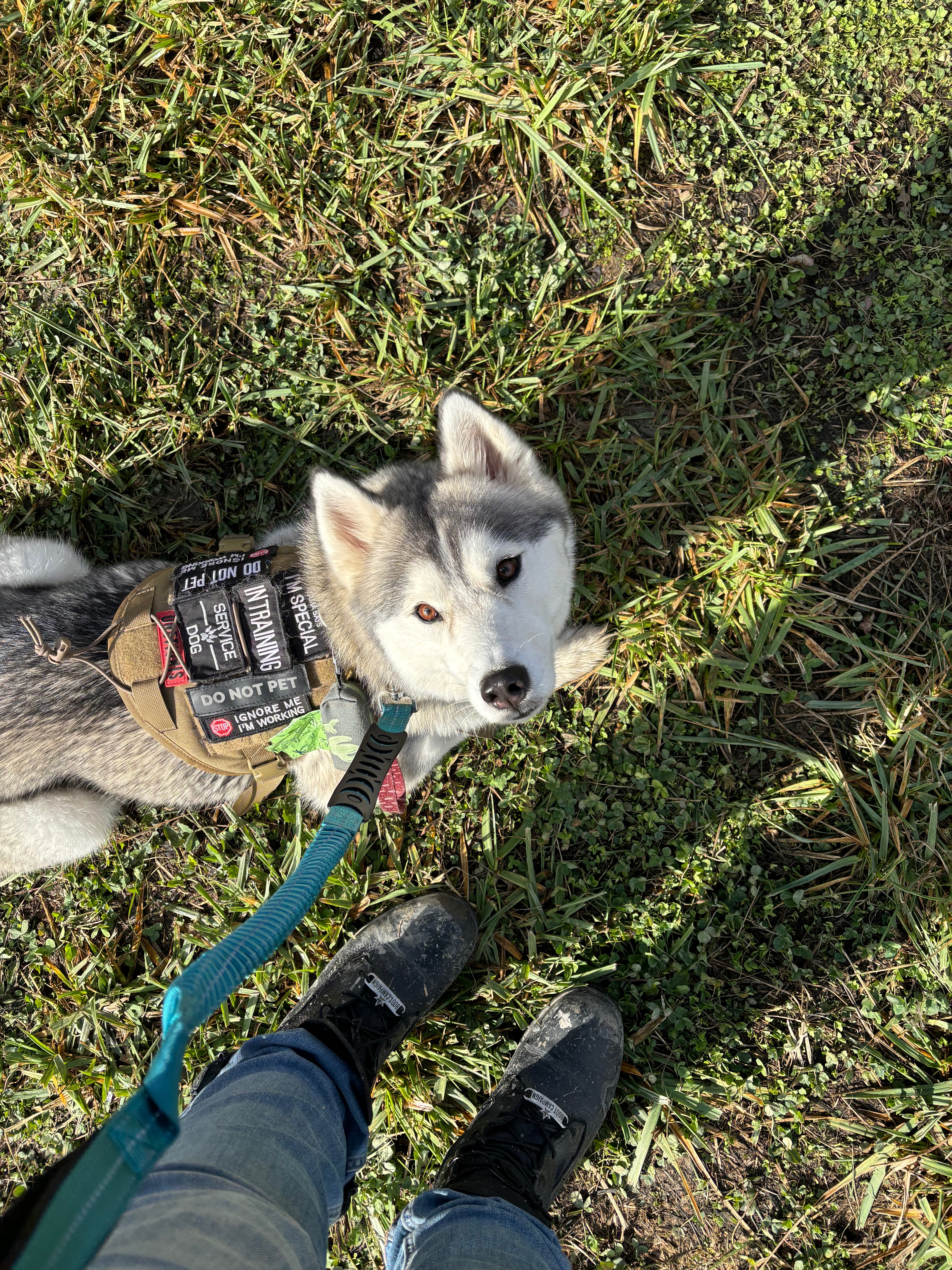 Aeryn’s Service Dog Fund campaign photo, 2 of 5