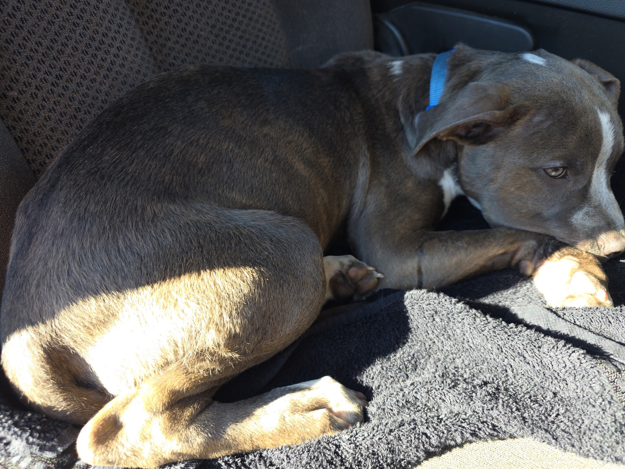 Urgent Surgery Needed for Russ's Broken Leg campaign photo, 5 of 6