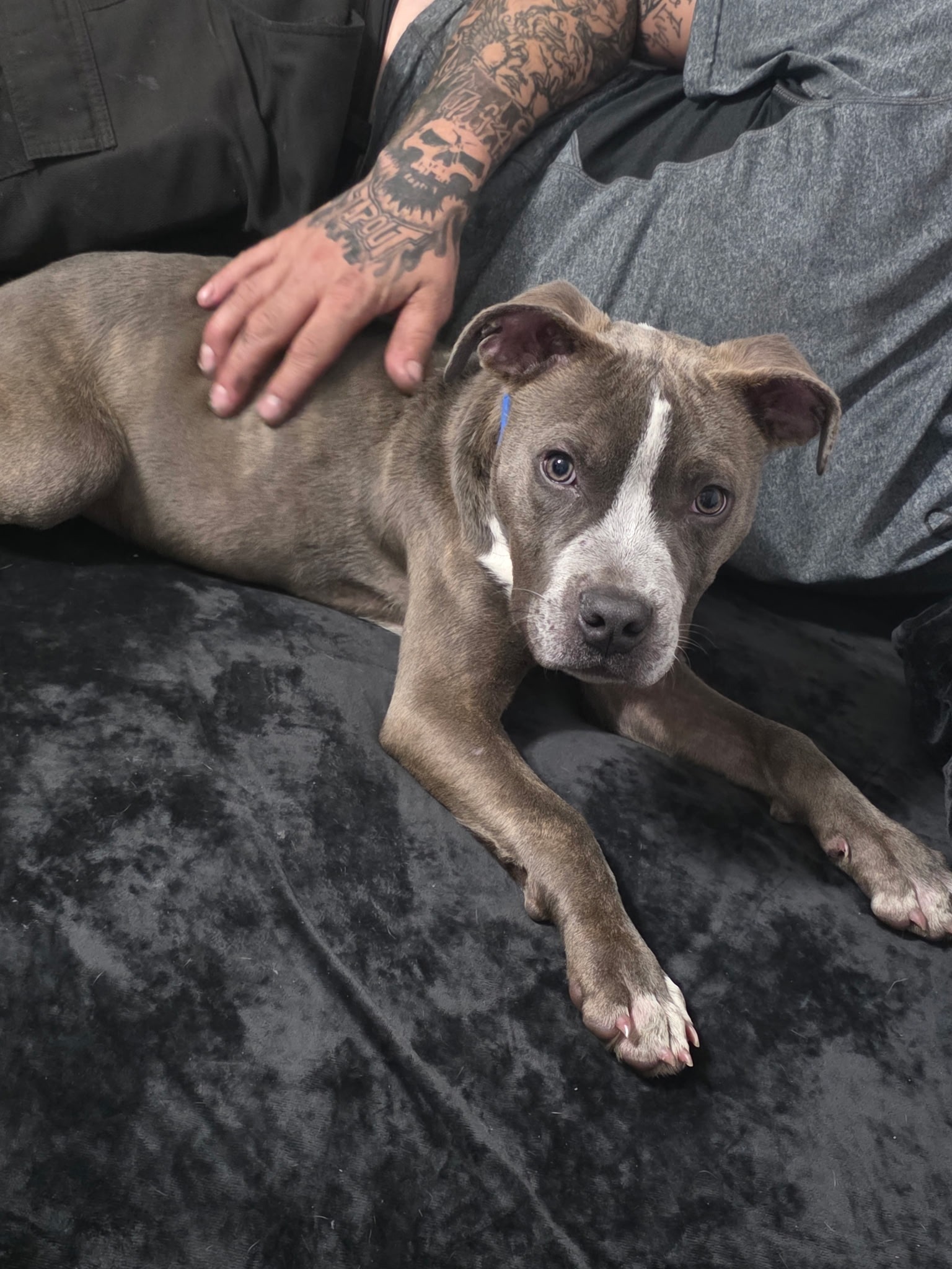 Urgent Surgery Needed for Russ's Broken Leg campaign photo, 2 of 6