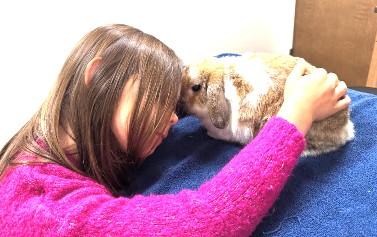 Support Ravioli's Eye Surgery Journey campaign photo, 6 of 8