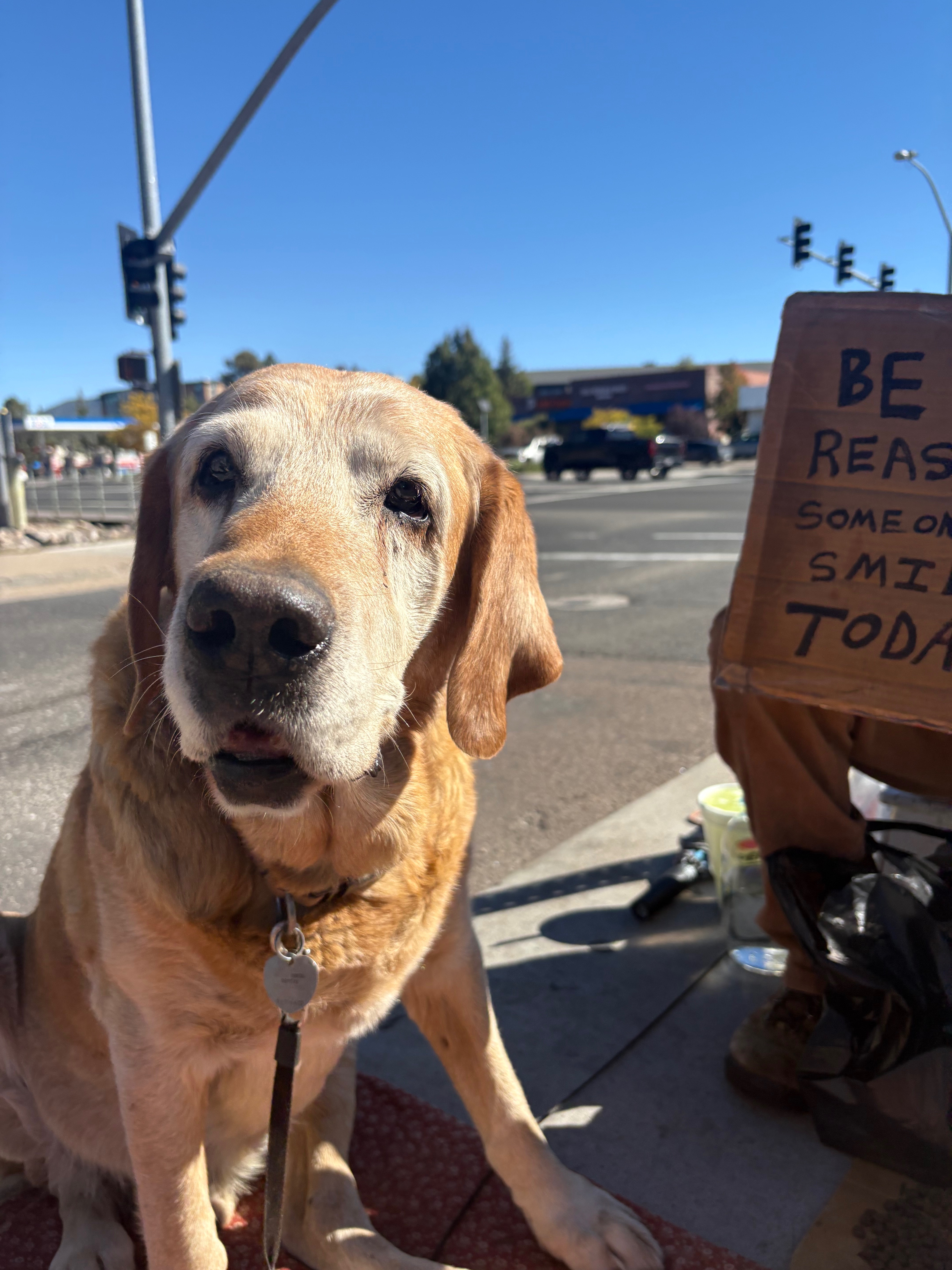 Helping the Homeless Flagstaff campaign photo, 4 of 5