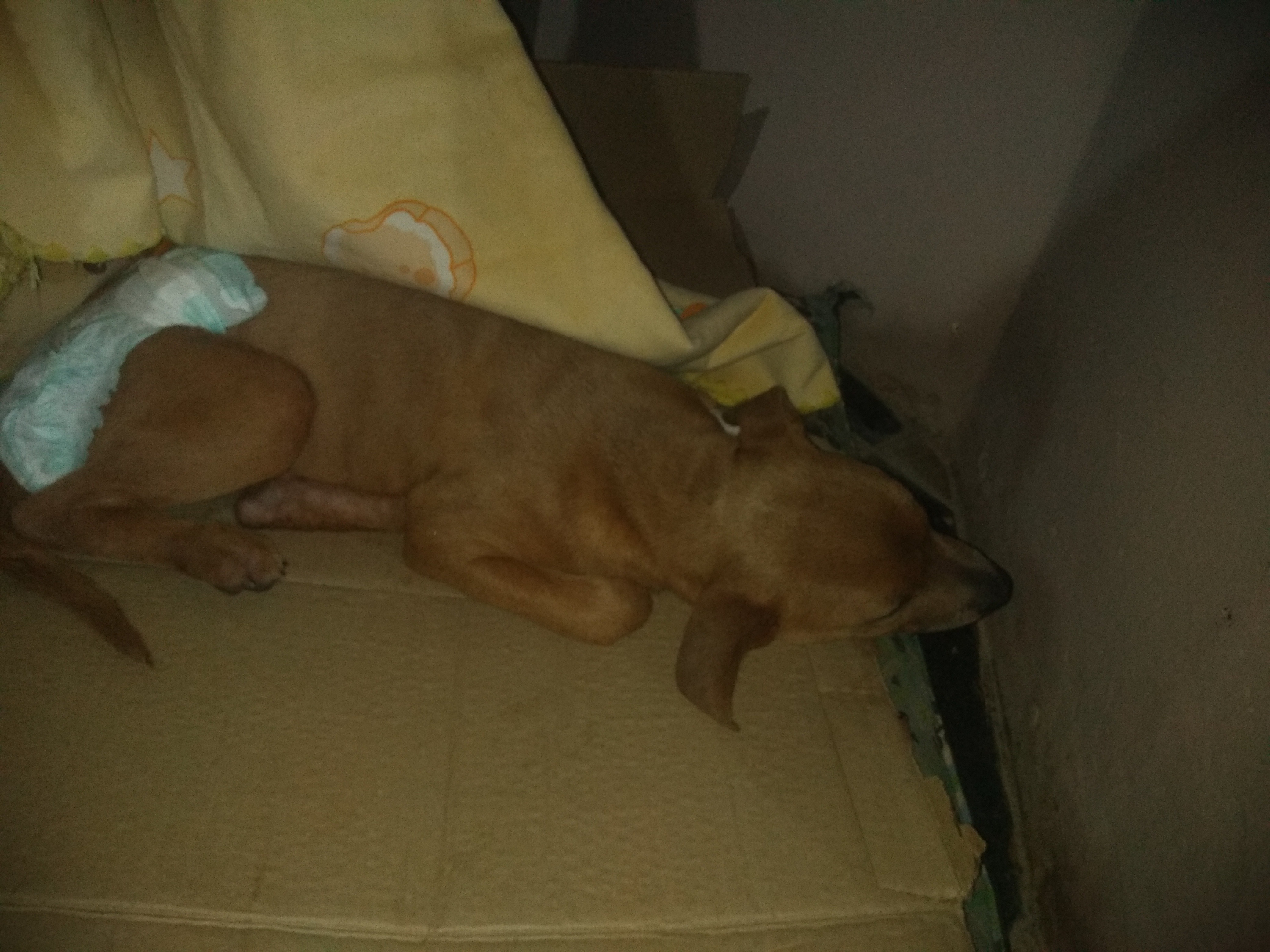 Foto van campagne Ayuda a Reyna una bebe de 3 meses, 2 van 6