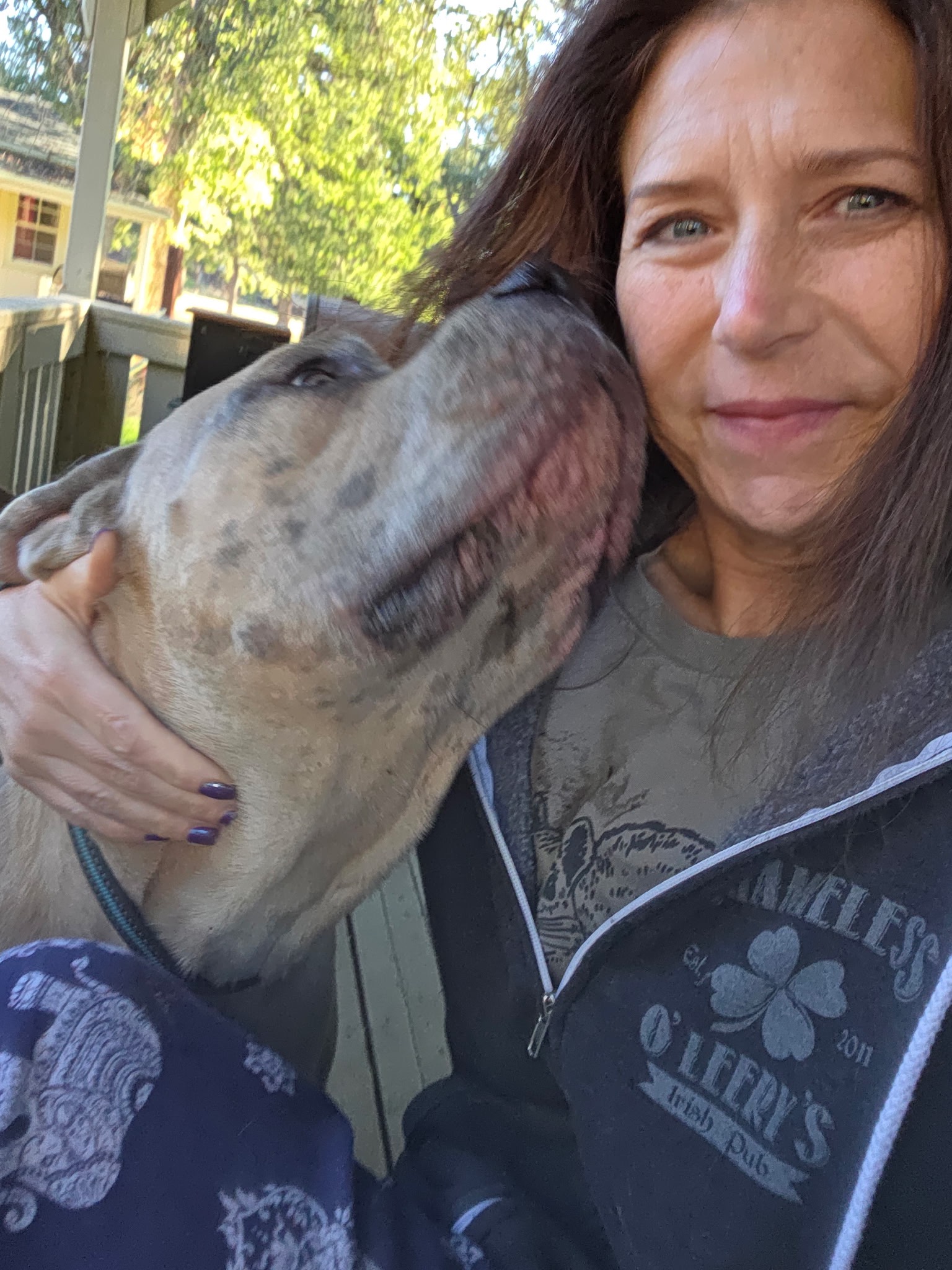 Help Diesel Get to His Forever Home campaign photo, 2 of 8