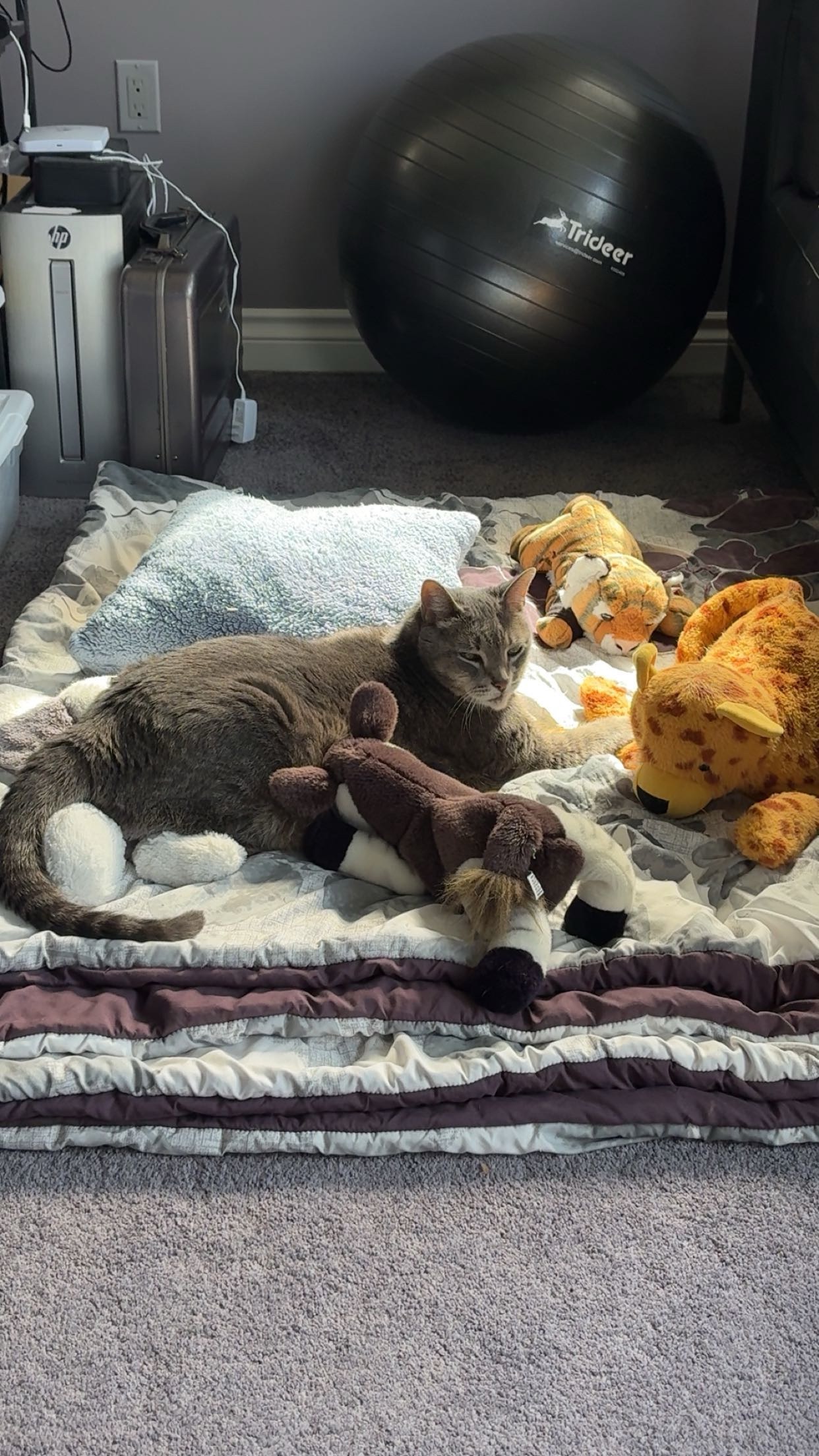 Help Oliver Fight for His Life campaign photo, 2 of 8