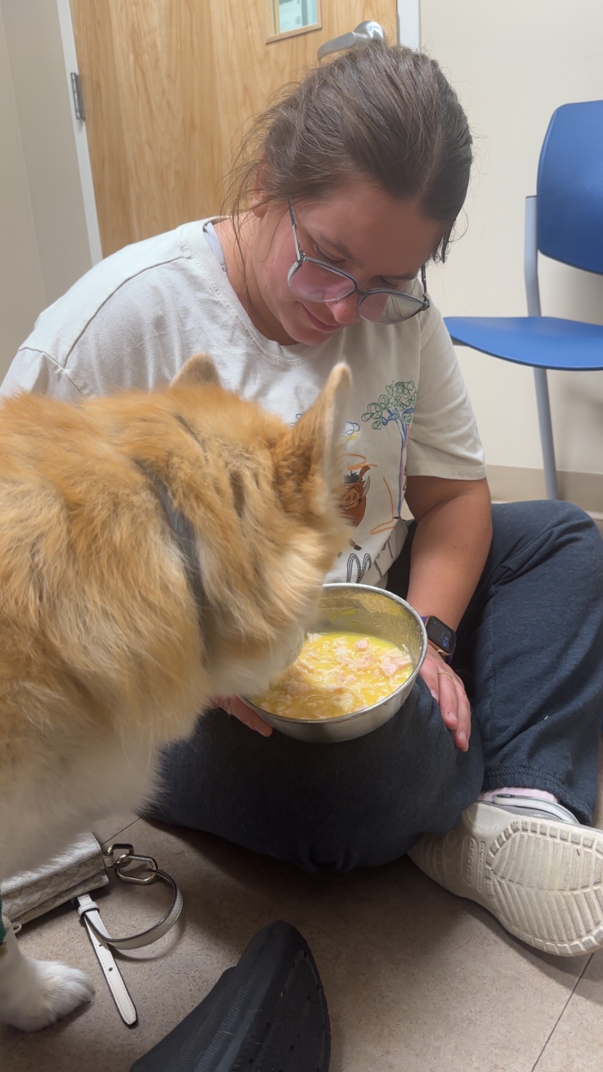 Support Rosie’s Emergency Vet Care campaign photo, 2 of 6
