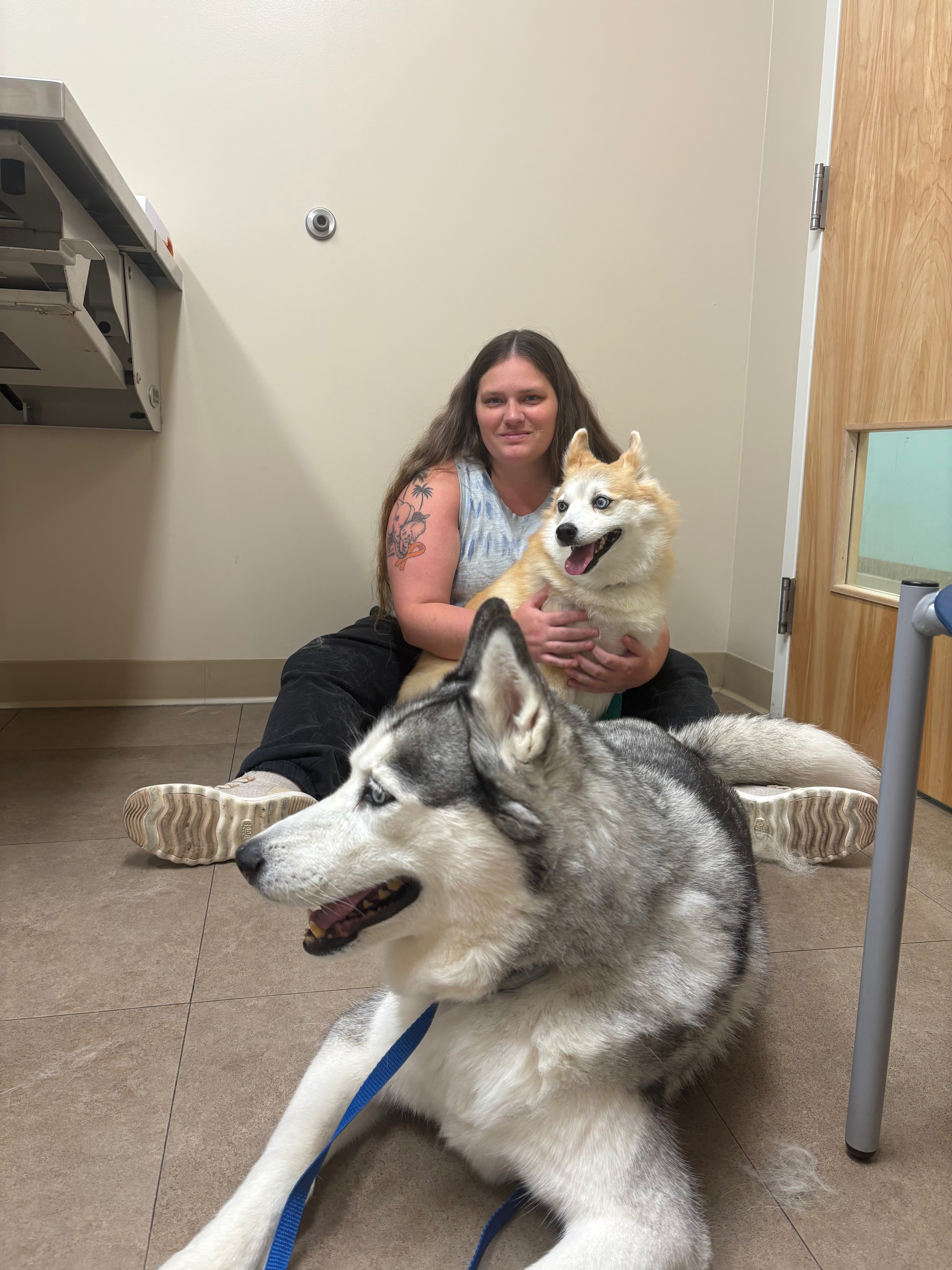 Support Rosie’s Emergency Vet Care campaign photo, 4 of 6